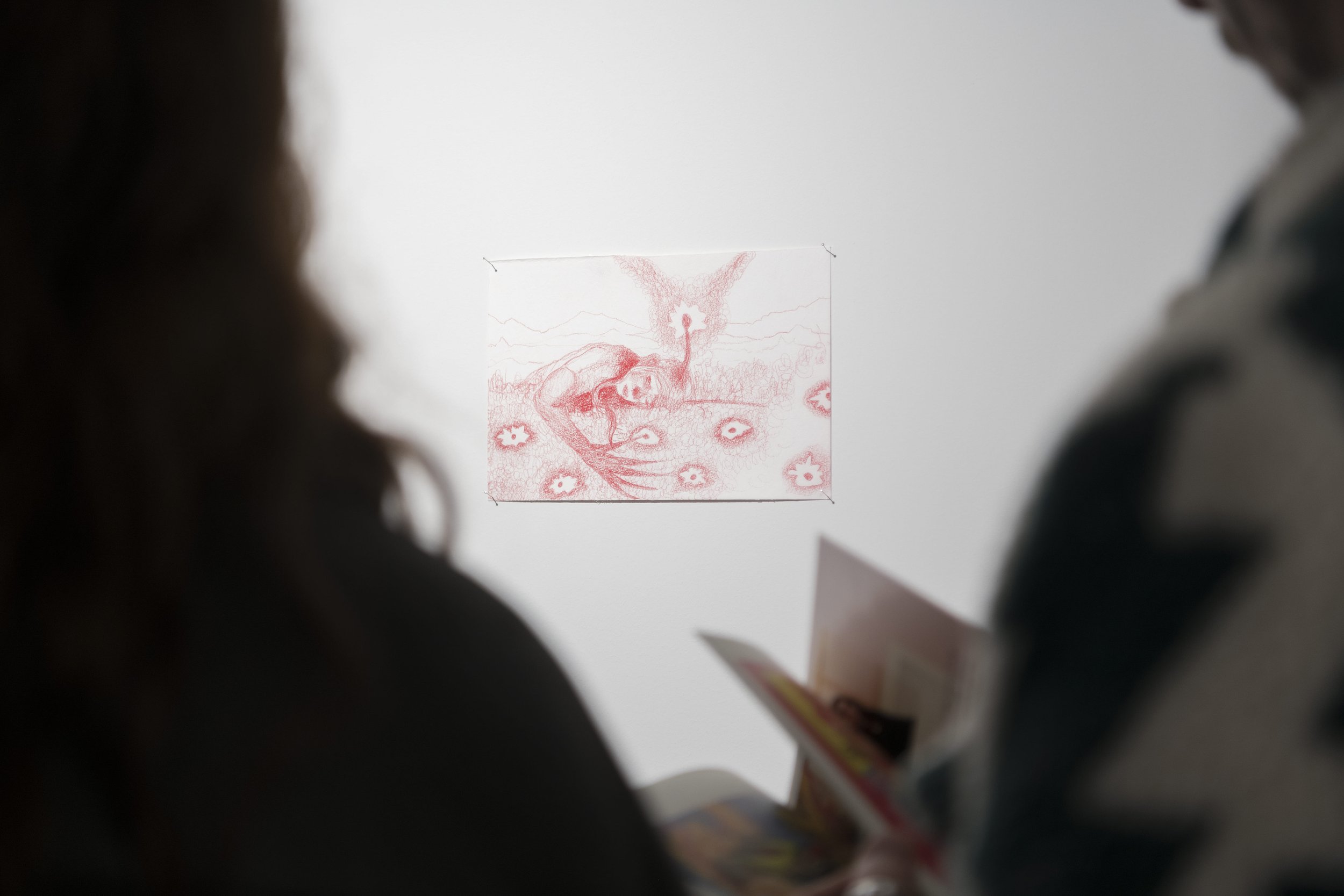 teddytraining pavitek (9).jpg