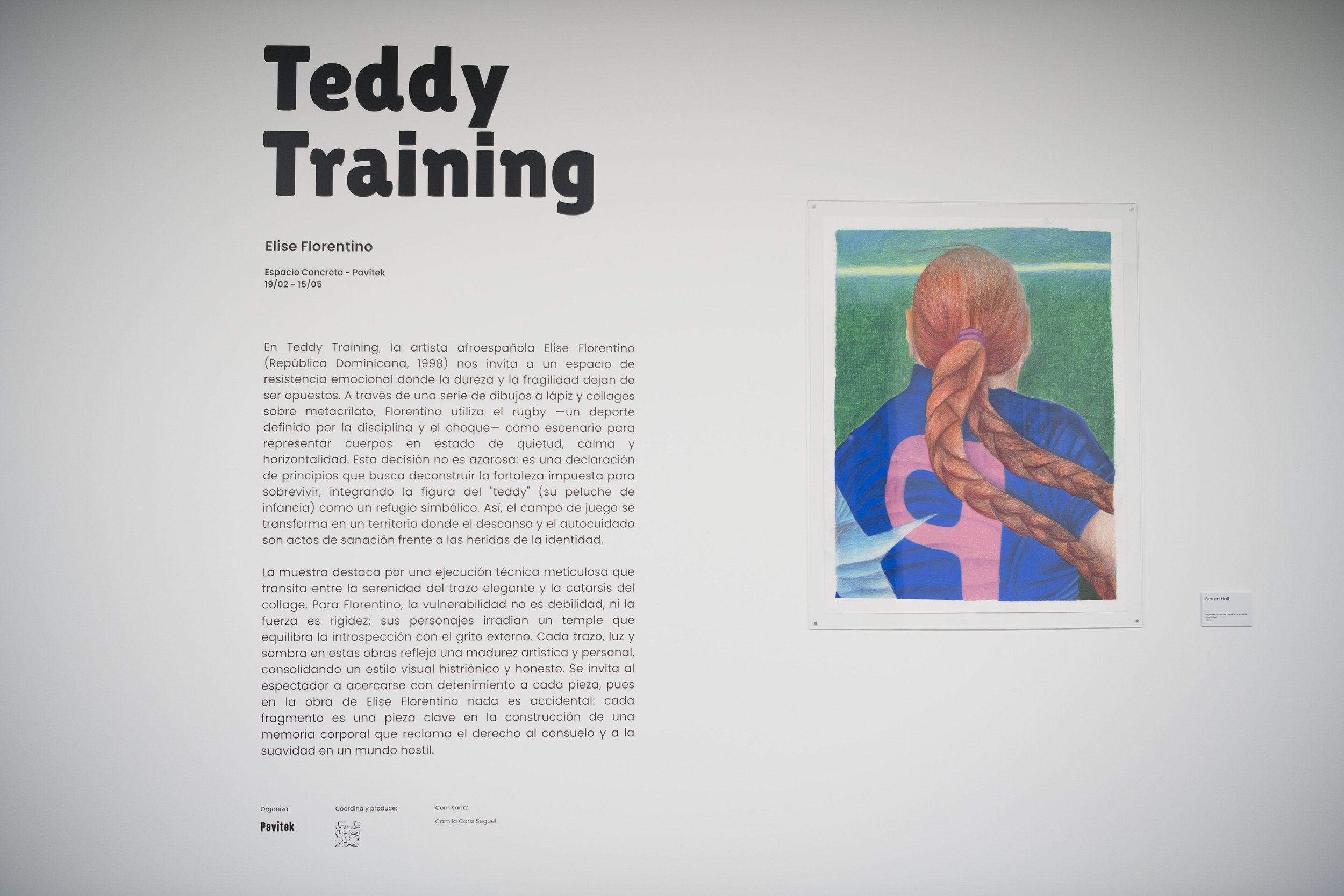 teddytraining pavitek (1).jpg