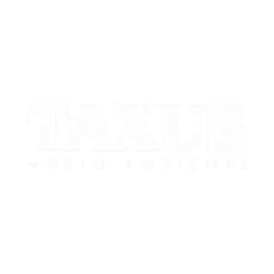 Cliente 2