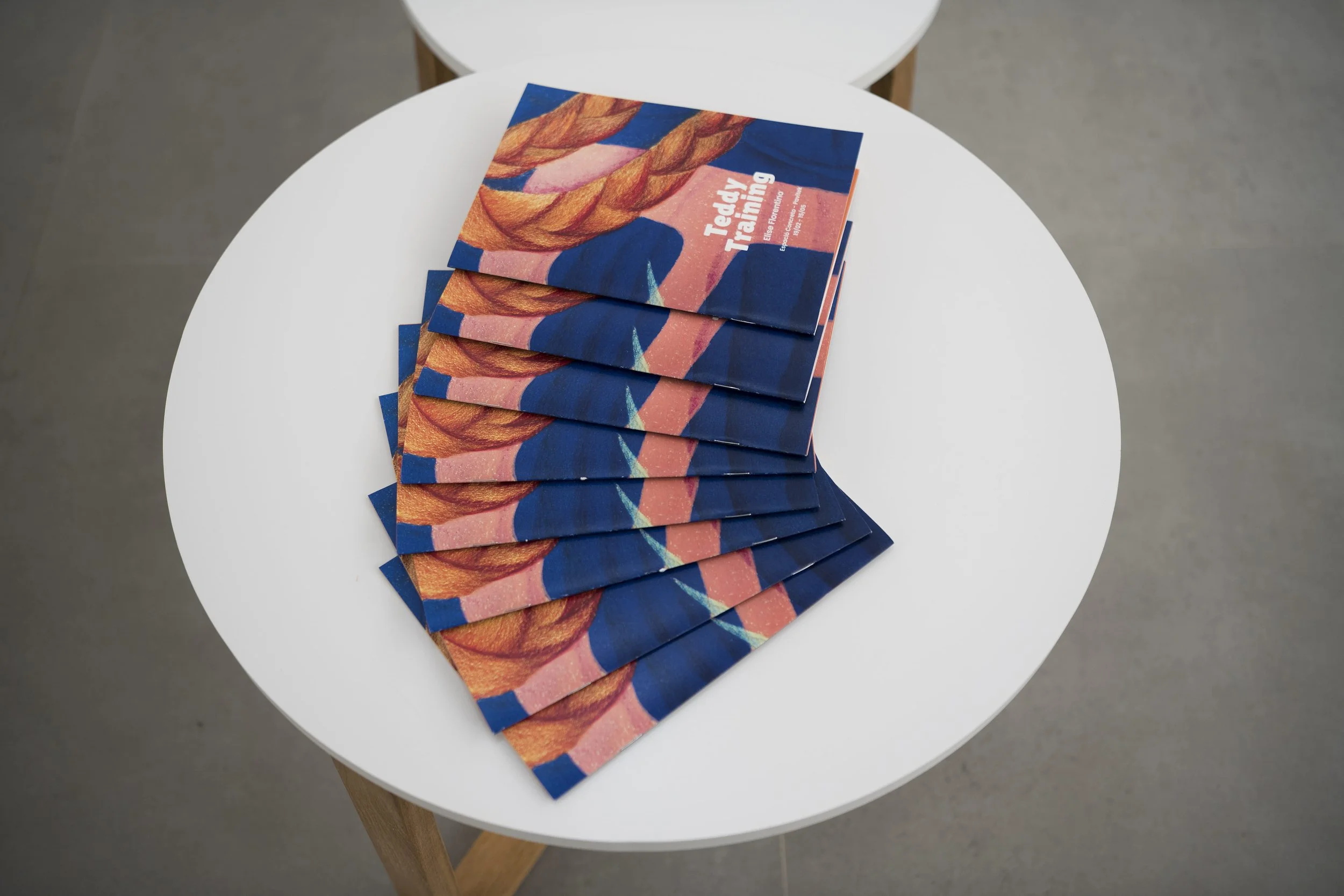 teddytraining pavitek (4).jpg