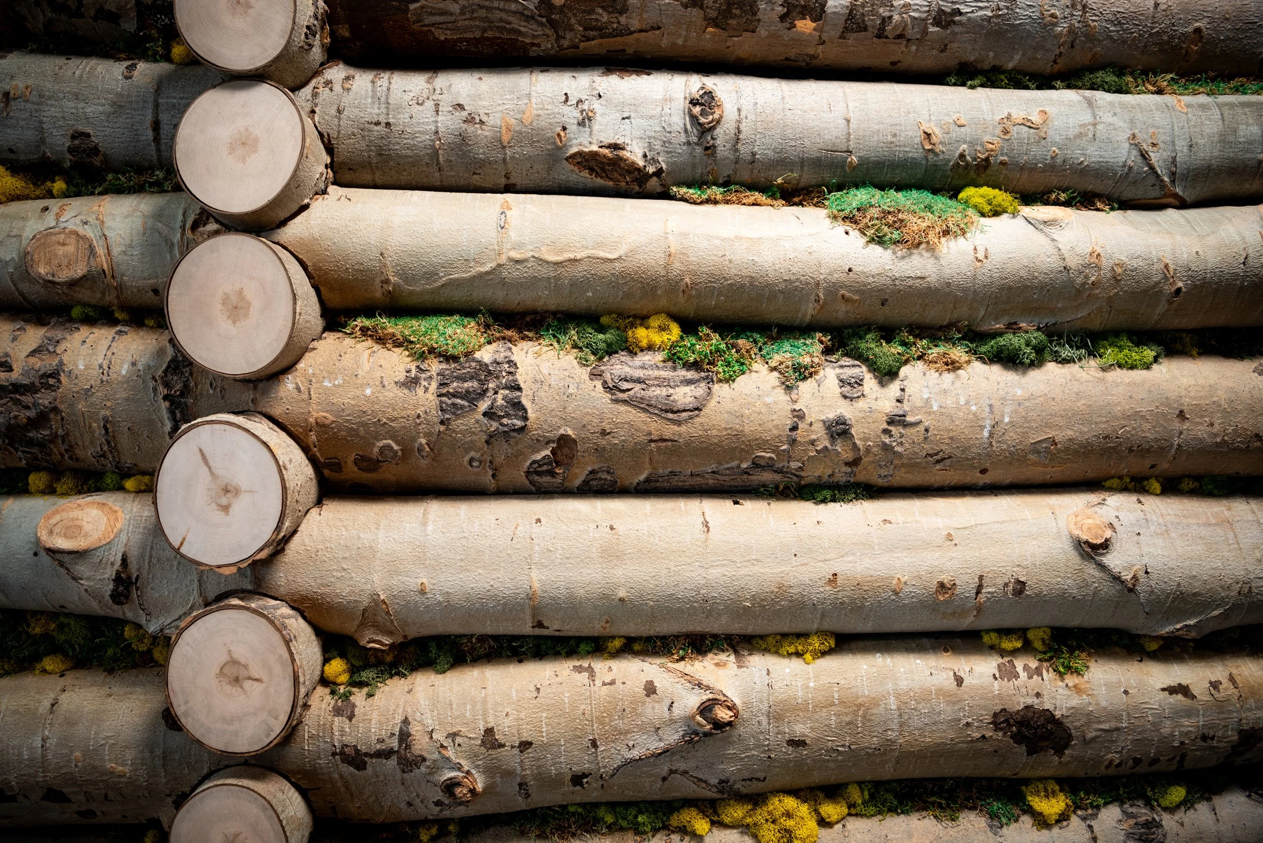 Log Cabin detail.jpg