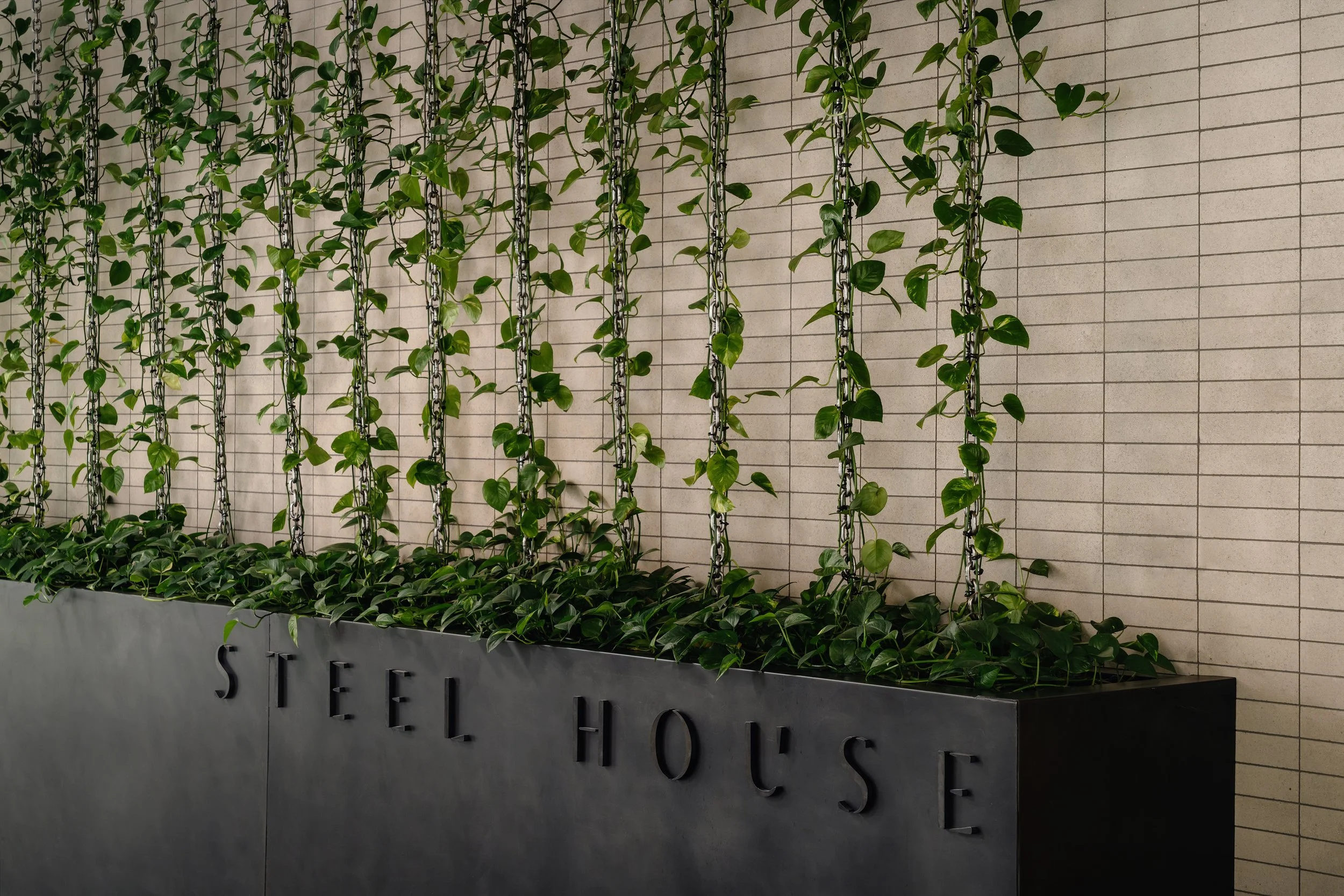 251211 STEELHOUSE WEBSITE PHOTOS3.jpg