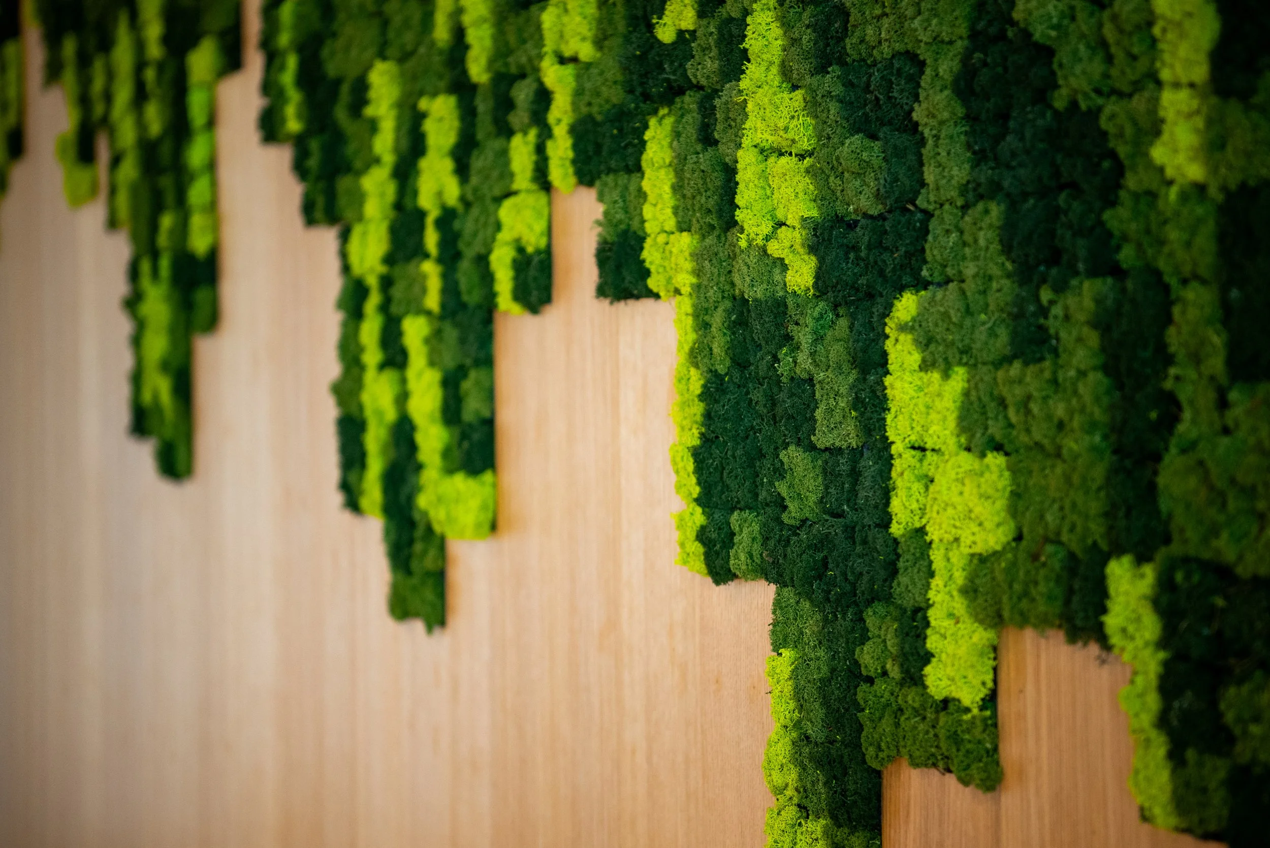 Green wall detail.jpg