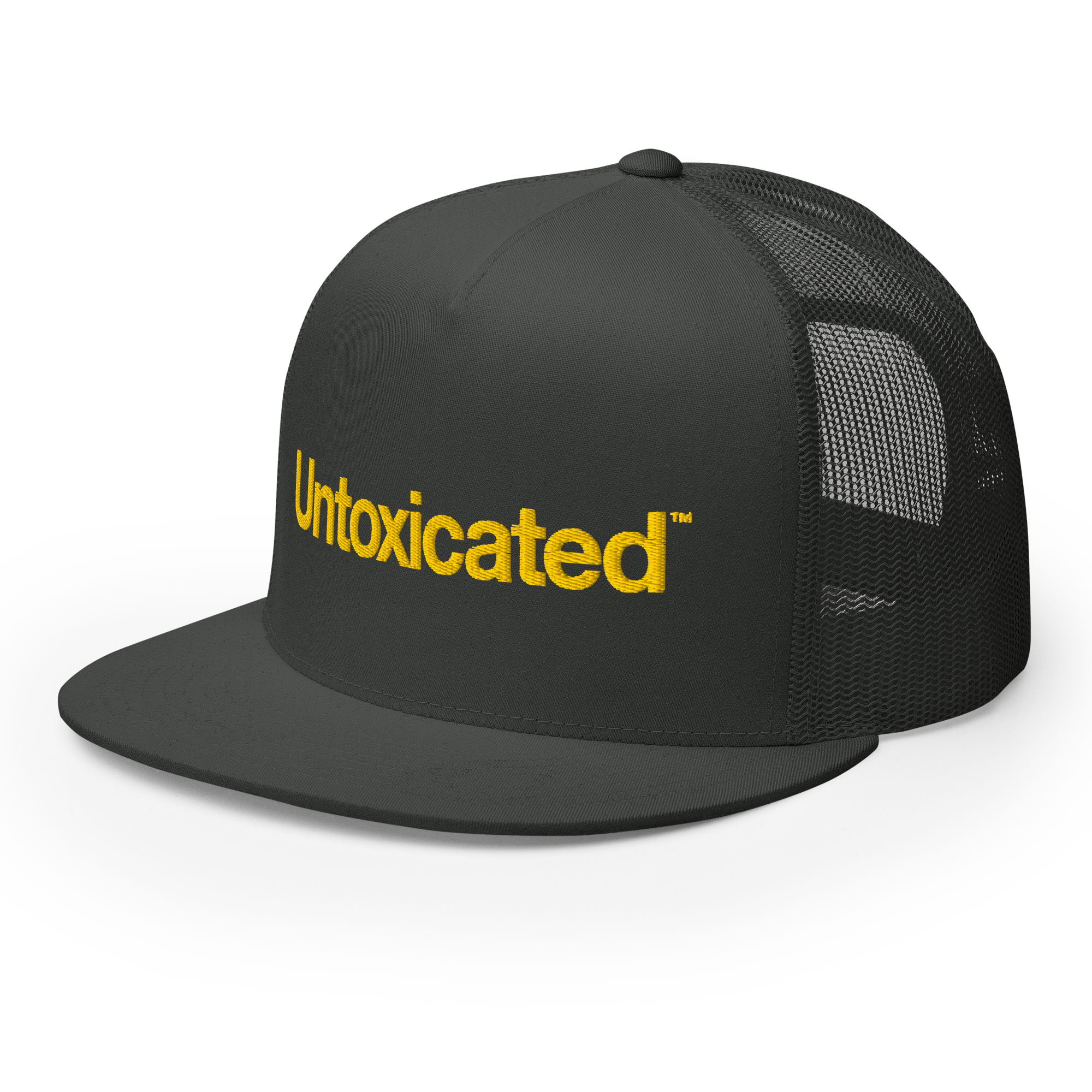 5-panel-trucker-cap-charcoal-left-front-677b1a5dde036.png
