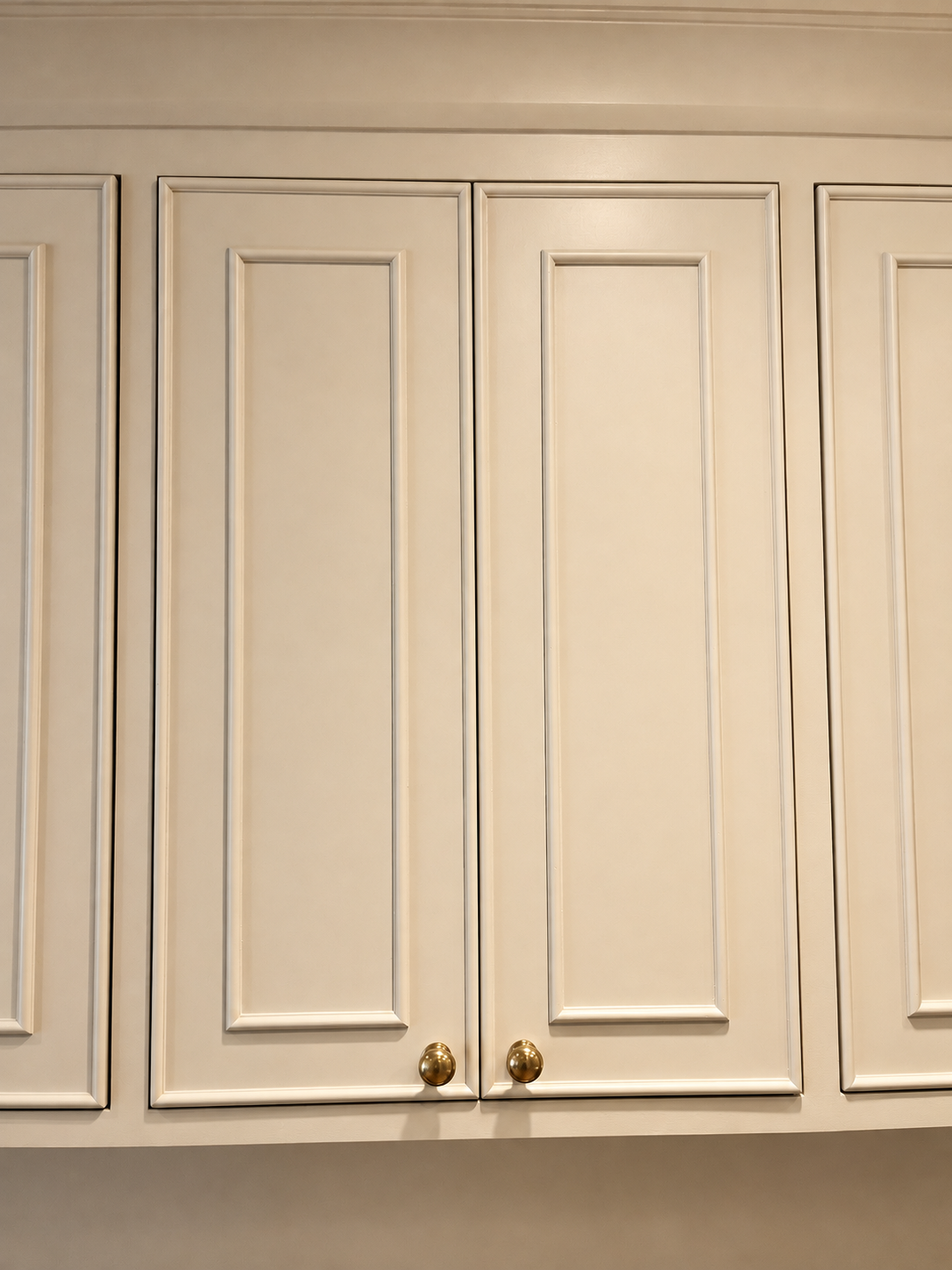Paneled door & brass knob