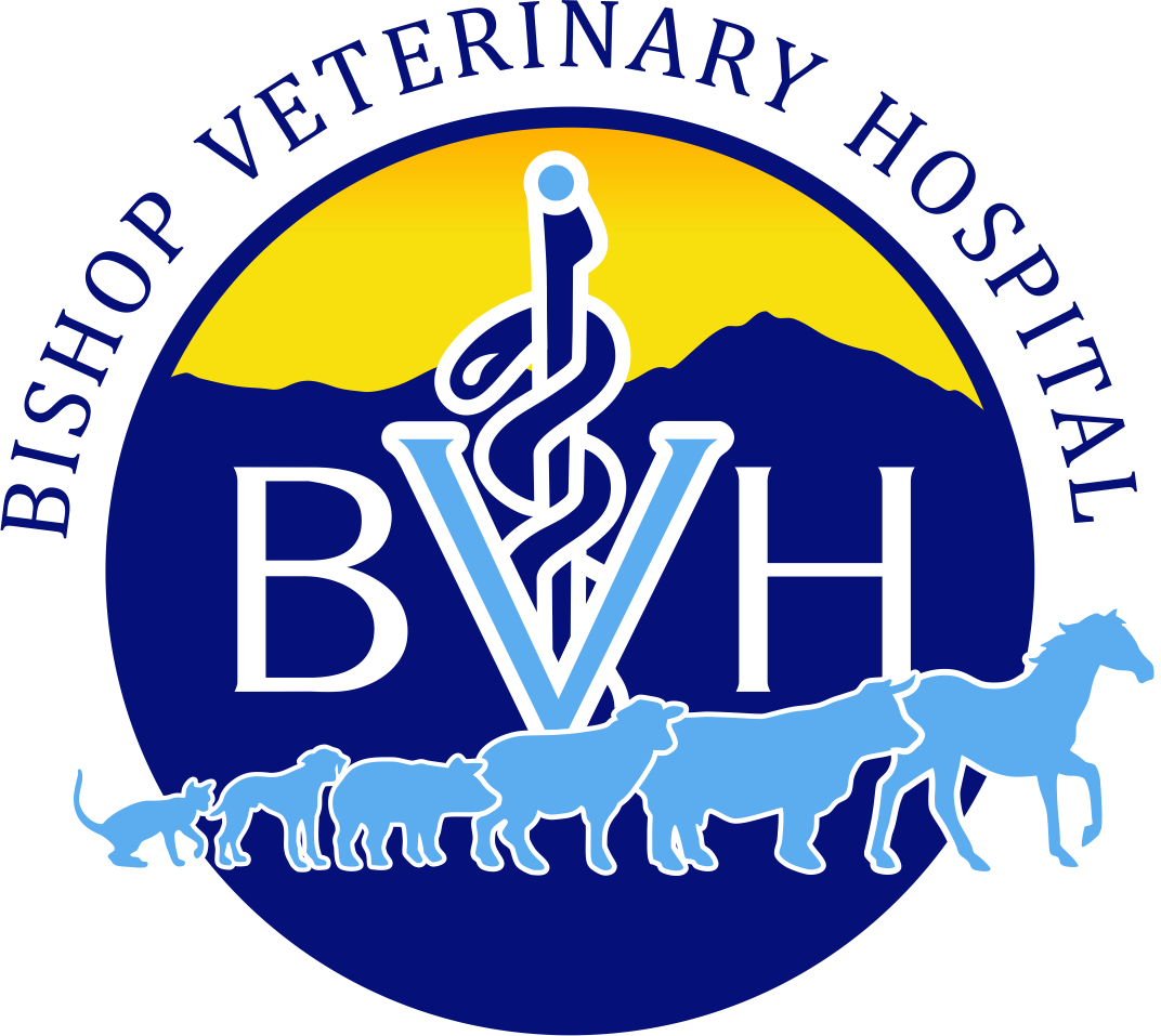 Logo of the Bishop Animal Veterinary Hospital featuring a mountain silhouette, a caduceus with a snake, the letters B V H, and silhouettes of various animals including a cat, dog, horse, and cow.