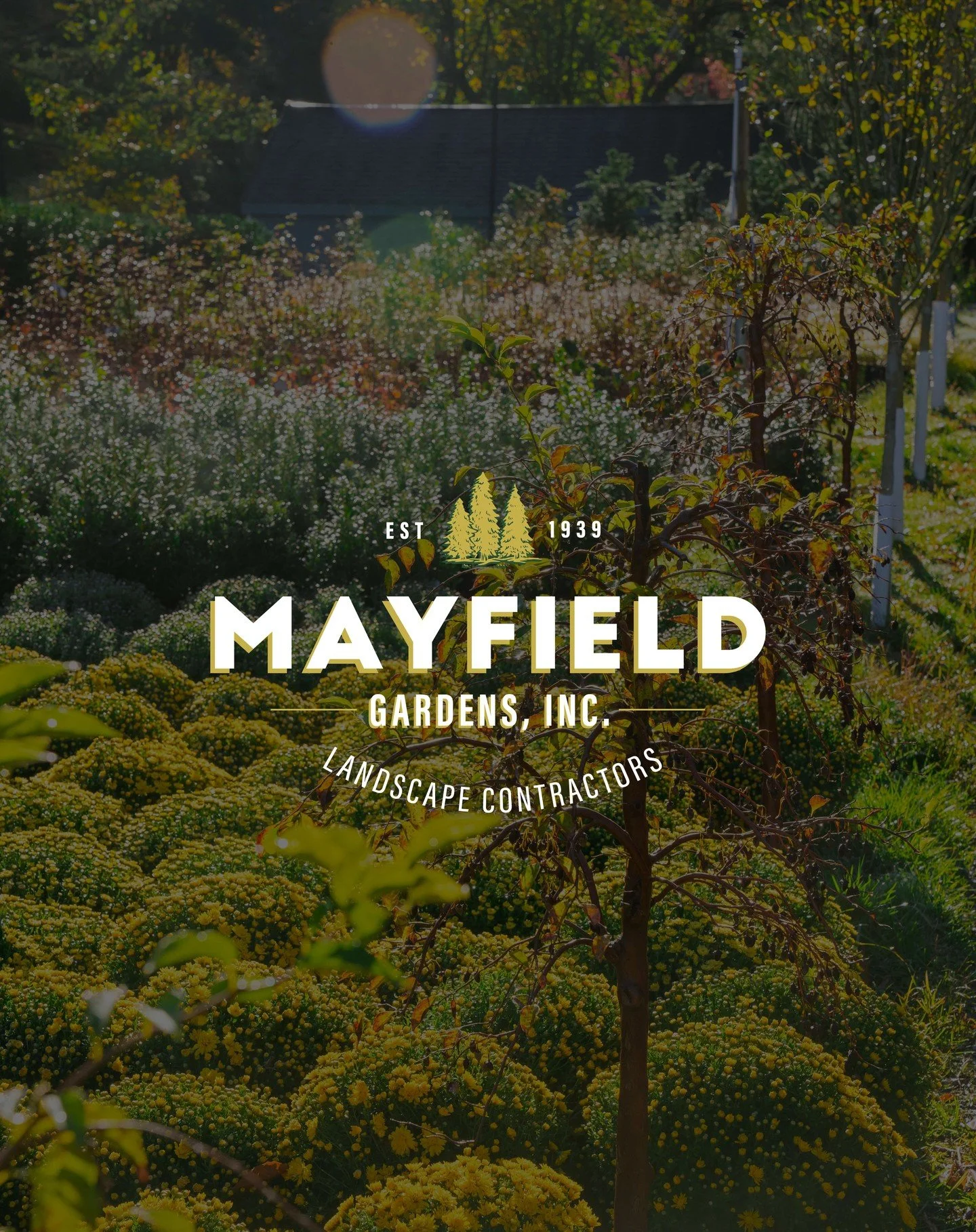 Mayfield Gardens Inc