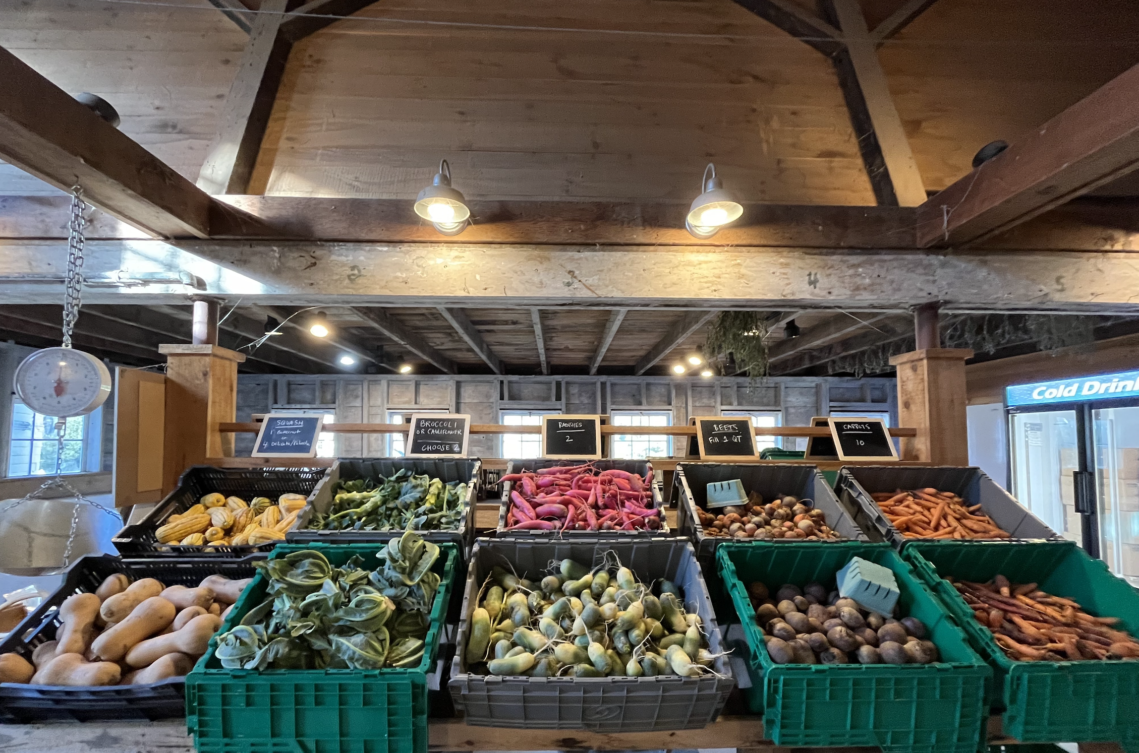 Produce for Thanksgiving share displayed