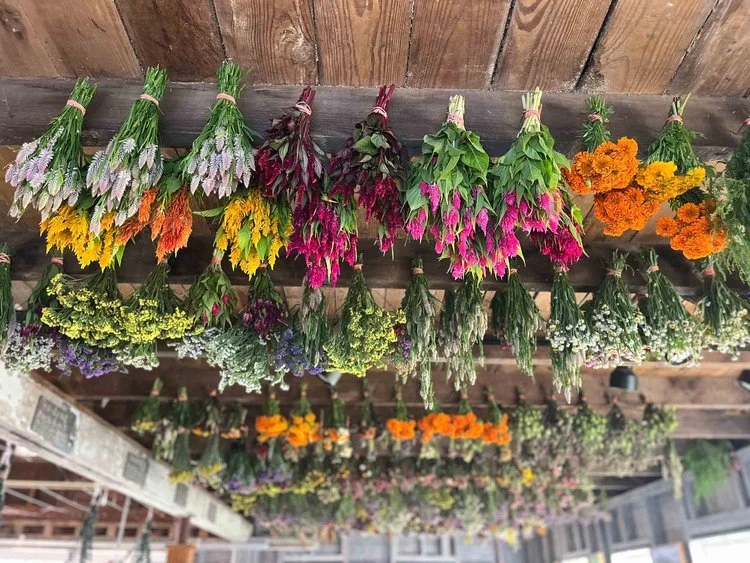 Flowers-hanging-to-dry.jpg