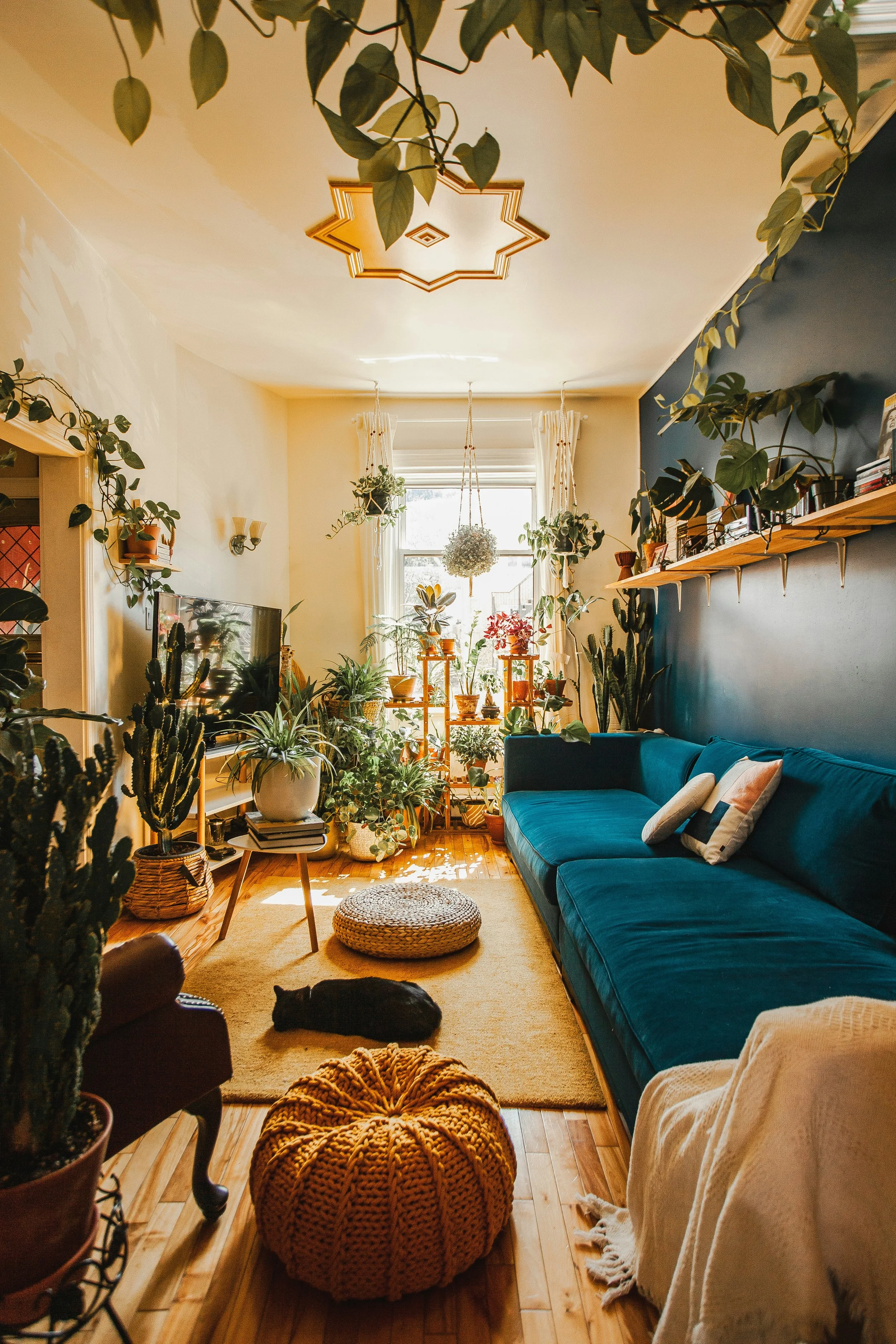 Photo by Lydia Mailloux by Unsplash