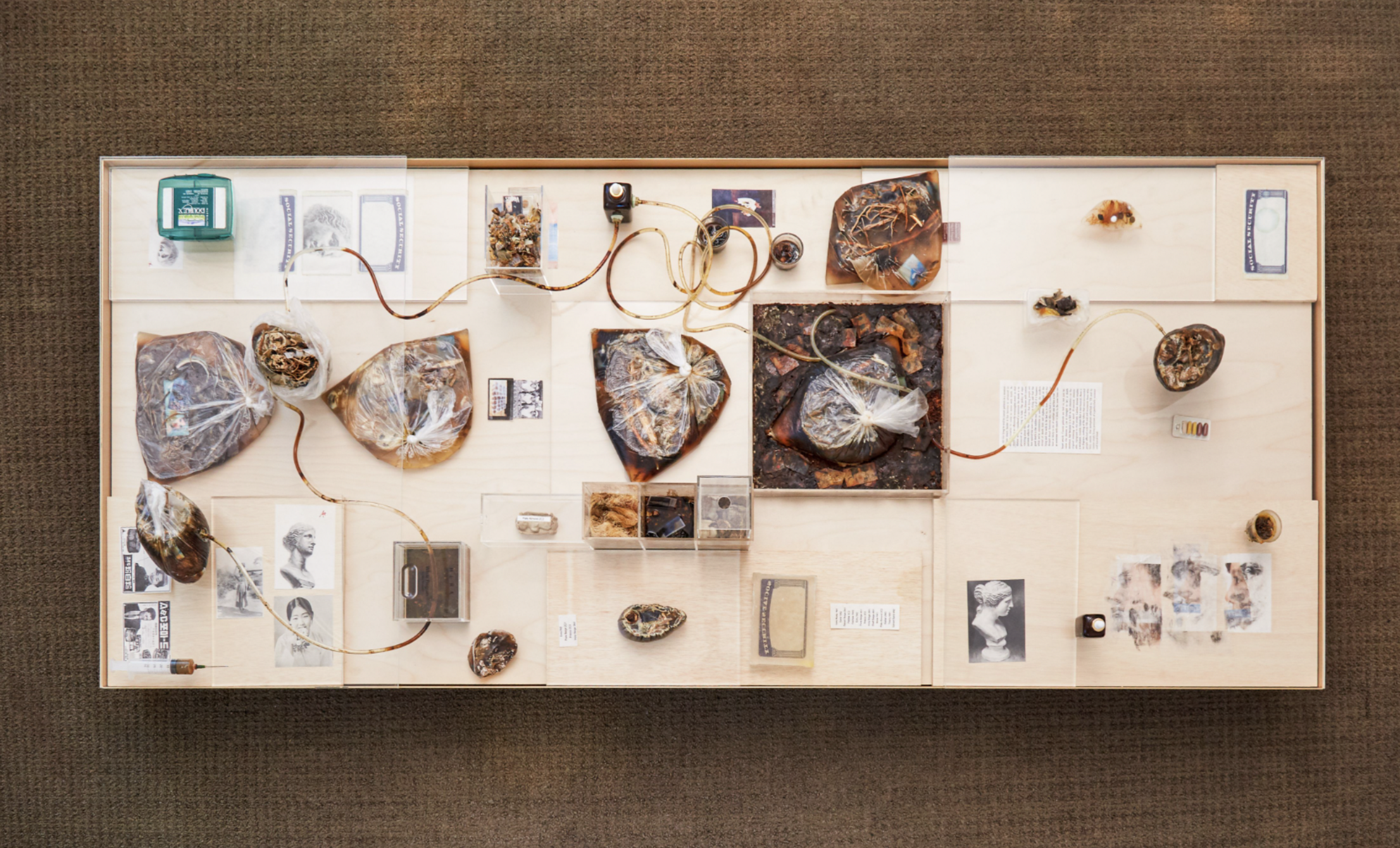 Screenshot 2024-12-19 at 1.53.52 PM.png