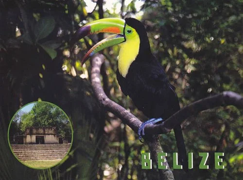 J 37 Keel-billed Toucan