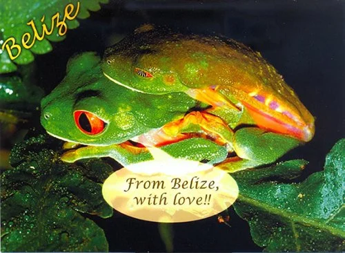 J 2 From Belize with Love