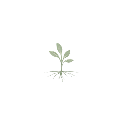 Illustration of a young plant with leaves and roots growing from soil.