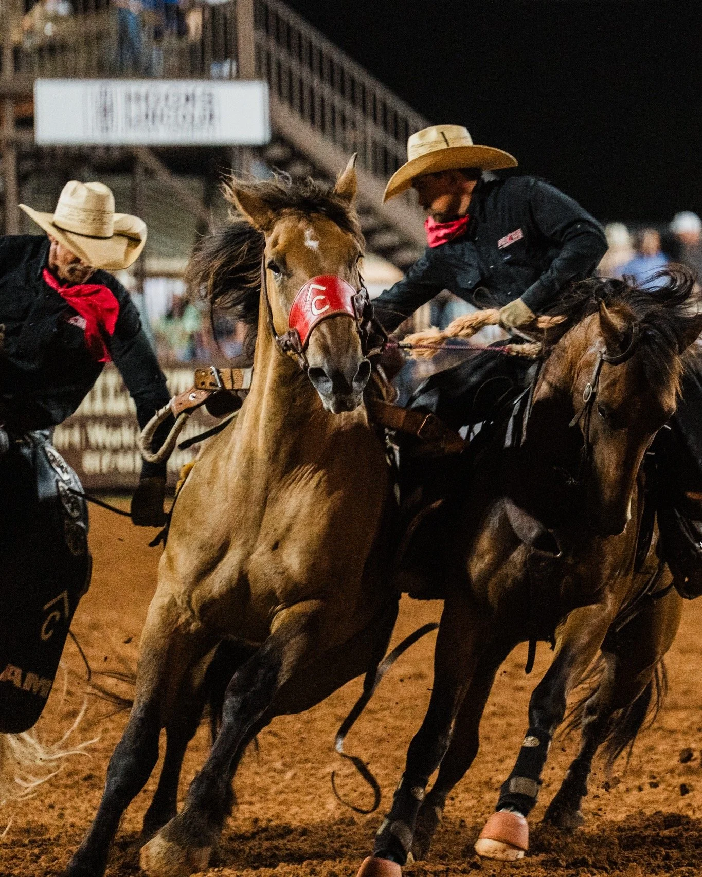 Dust. Blood. Glory. Repeat. 

#rodeoweek
