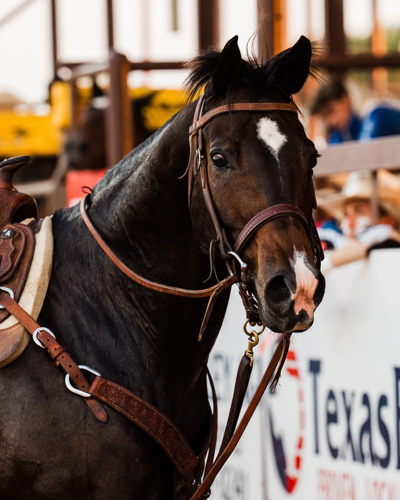 The ranker, the better.

#RodeoLife