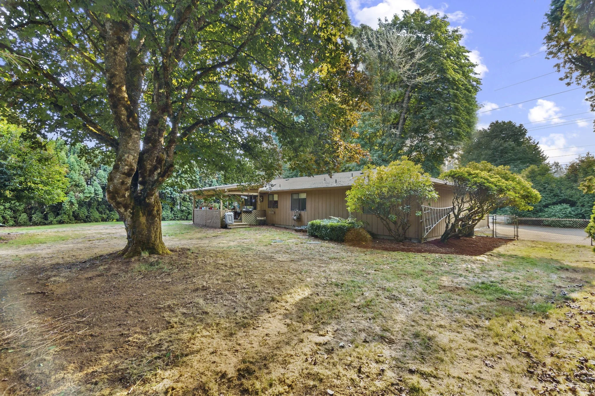 38-web-or-mls-DSC04238.jpg