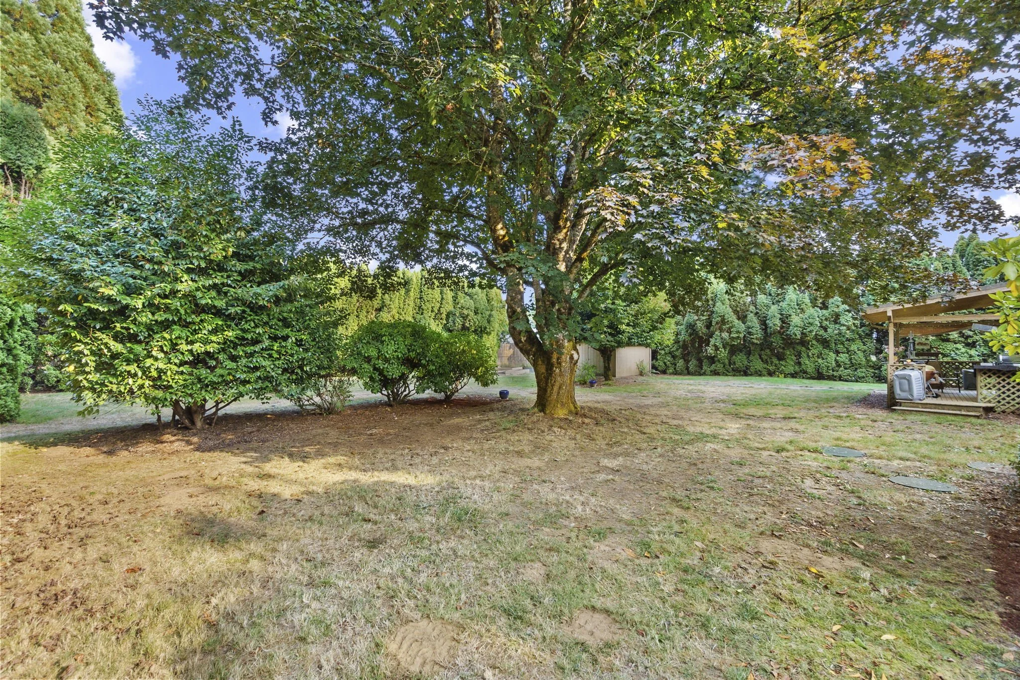 39-web-or-mls-DSC04241.jpg