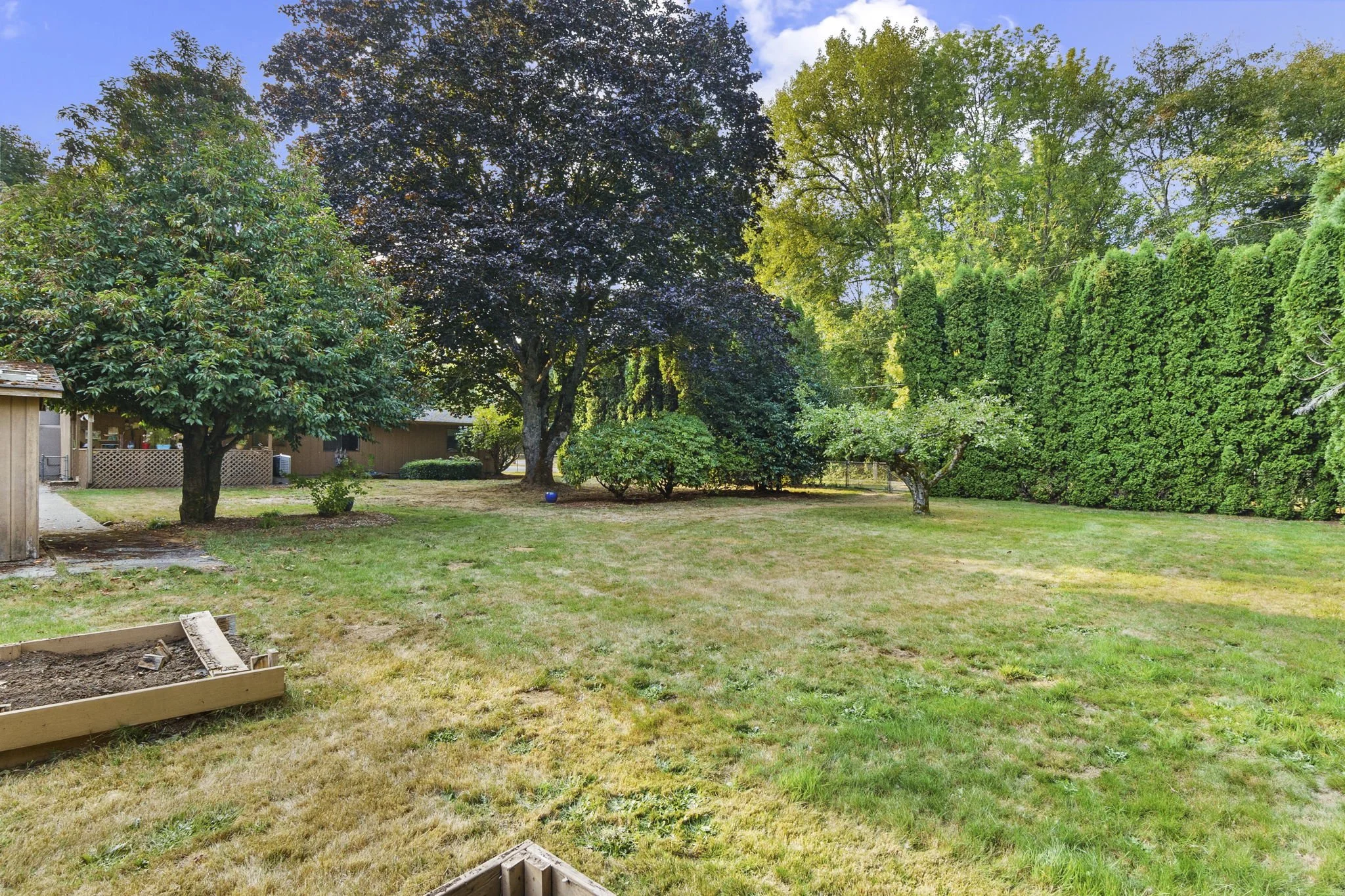 42-web-or-mls-DSC04256.jpg