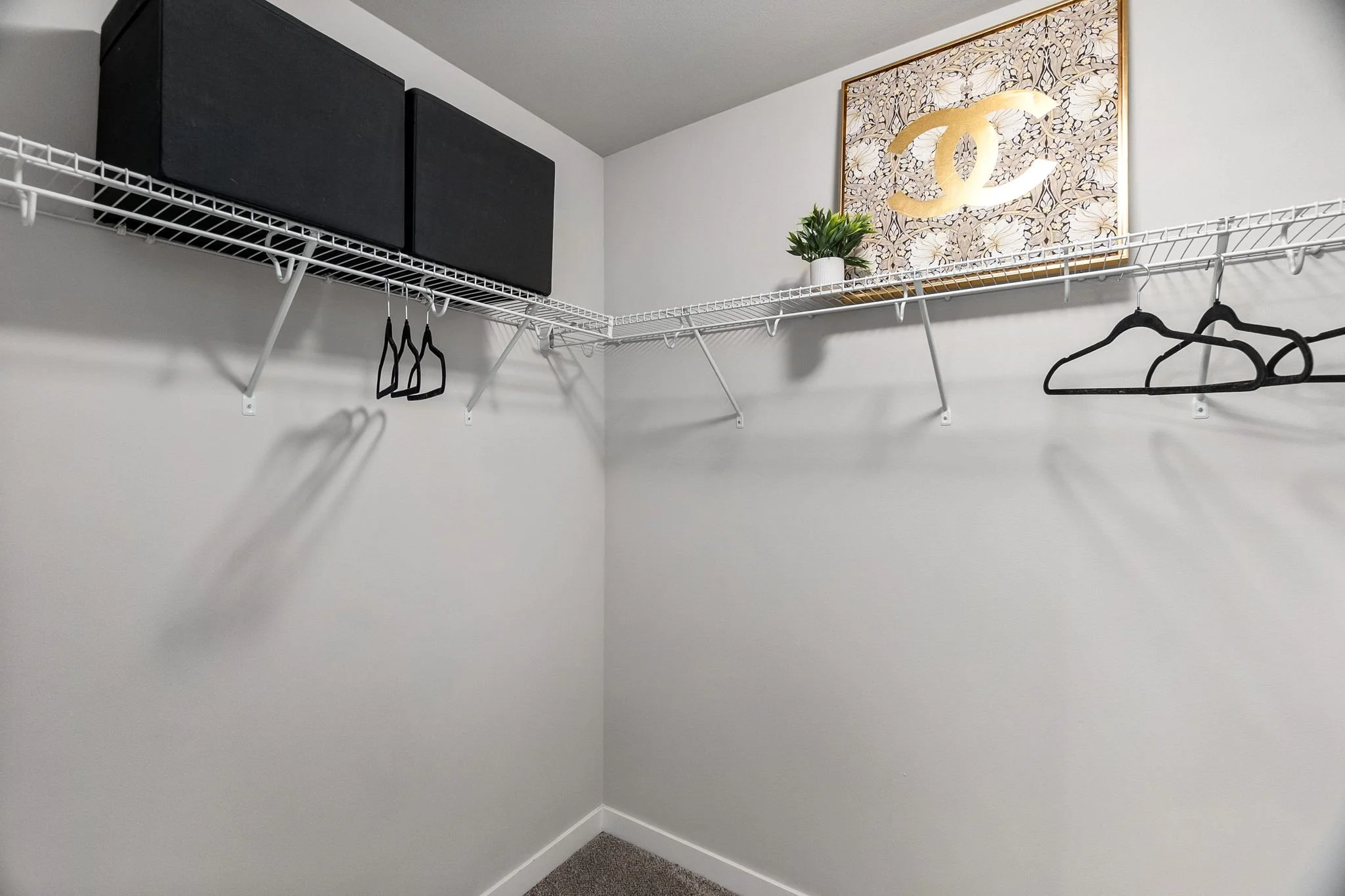 50-web-or-mls-DSC05573.jpg