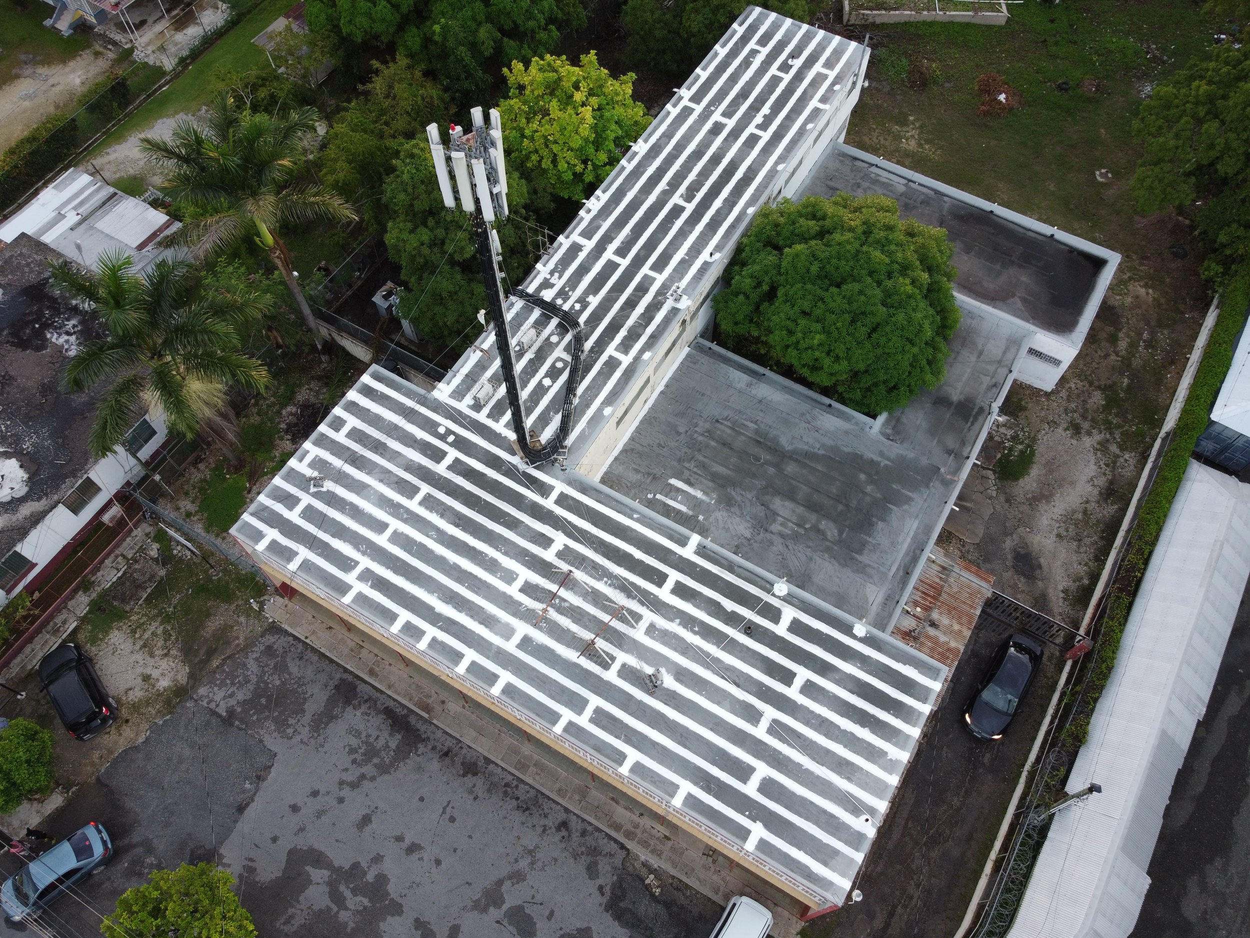 WhatsApp Image 2024-11-19 at 12.41.49 PM (1).jpeg