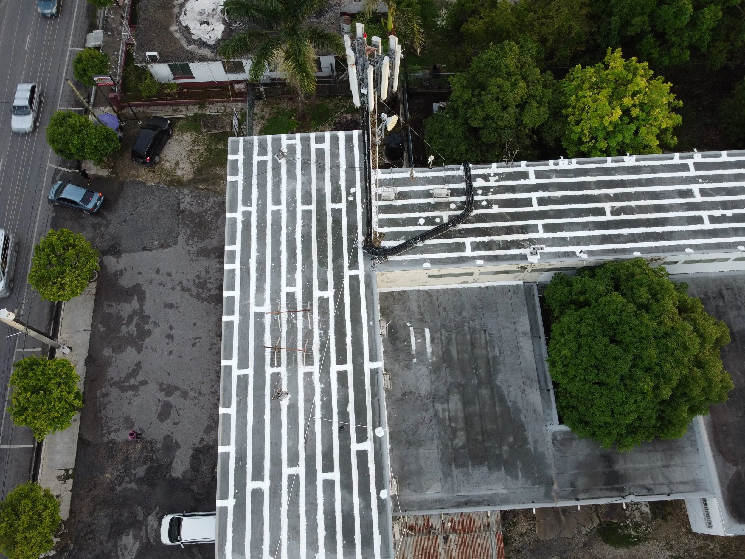 WhatsApp Image 2024-11-19 at 12.41.49 PM (2).jpeg