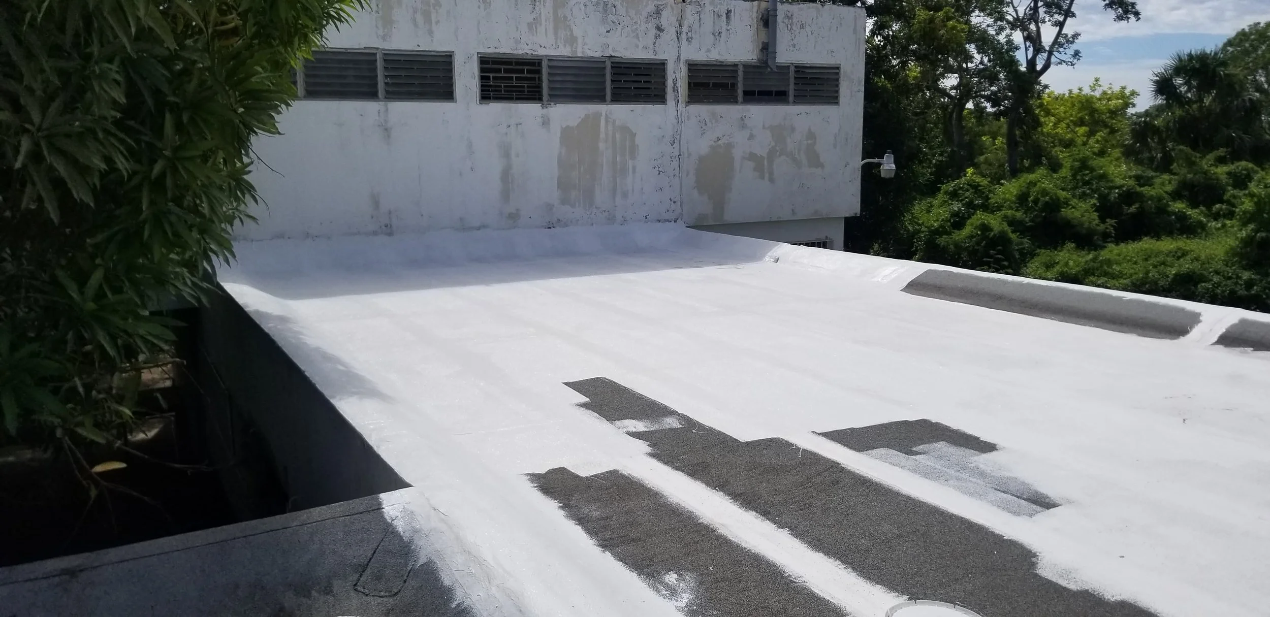 WhatsApp Image 2024-11-19 at 12.41.48 PM (2).jpeg