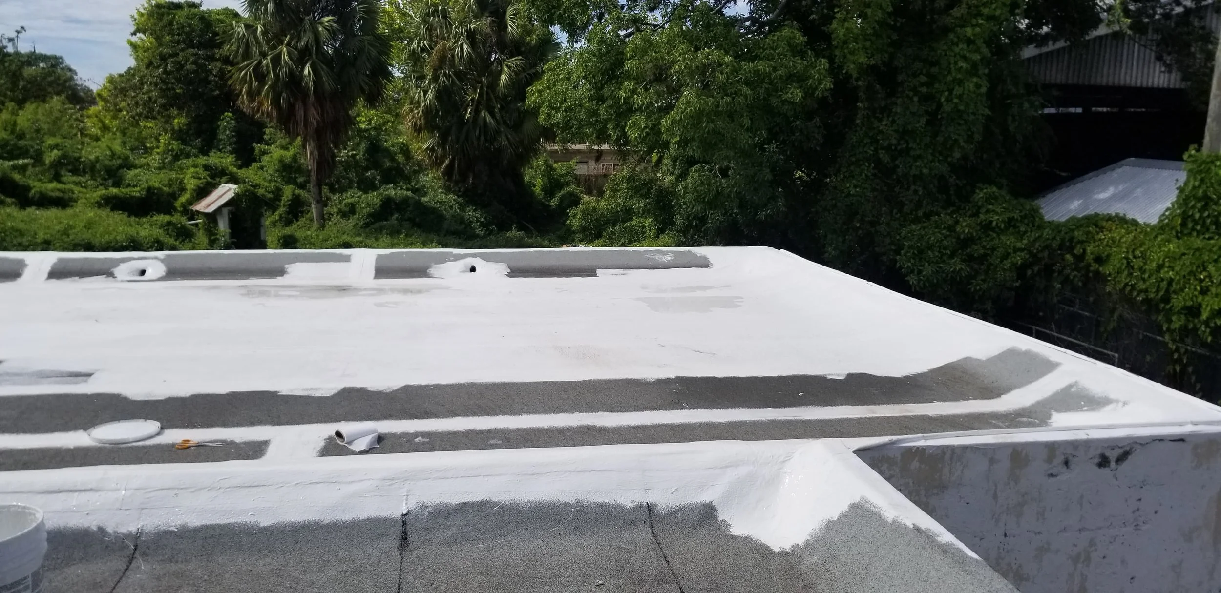 WhatsApp Image 2024-11-19 at 12.41.48 PM (1).jpeg