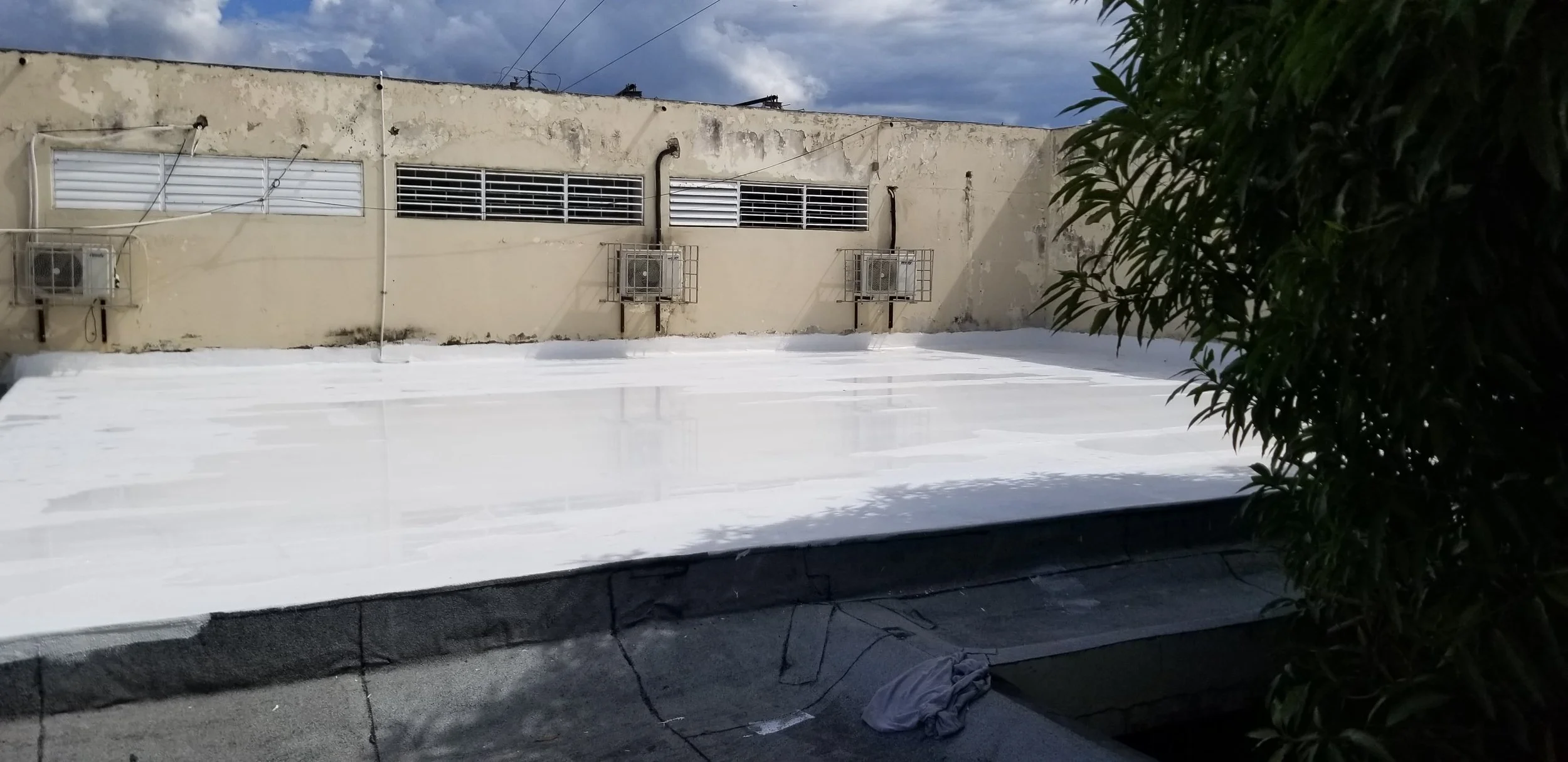 WhatsApp Image 2024-11-19 at 12.41.48 PM (3).jpeg