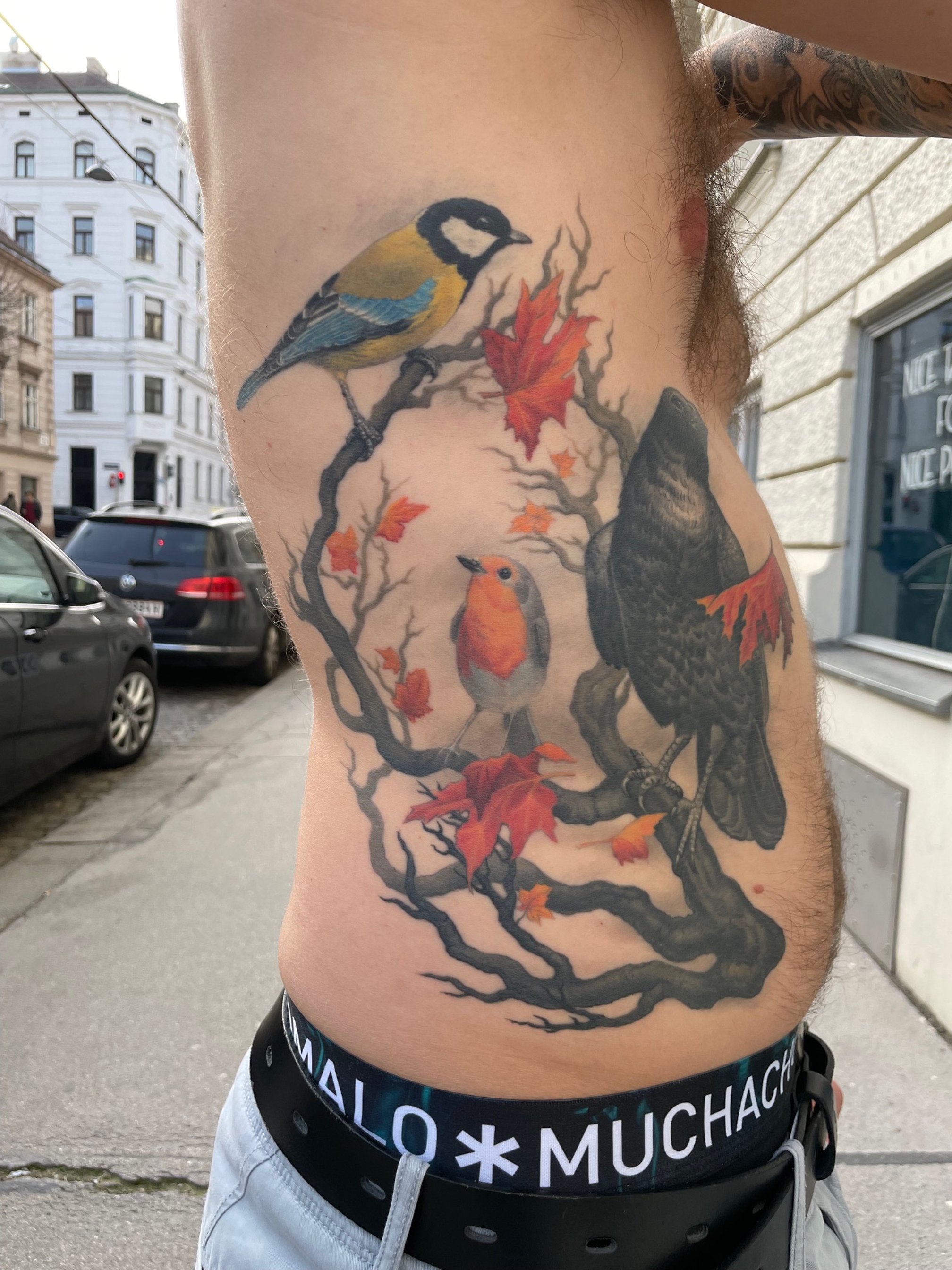 bird tattoo on the rib cage cardinal tattoo