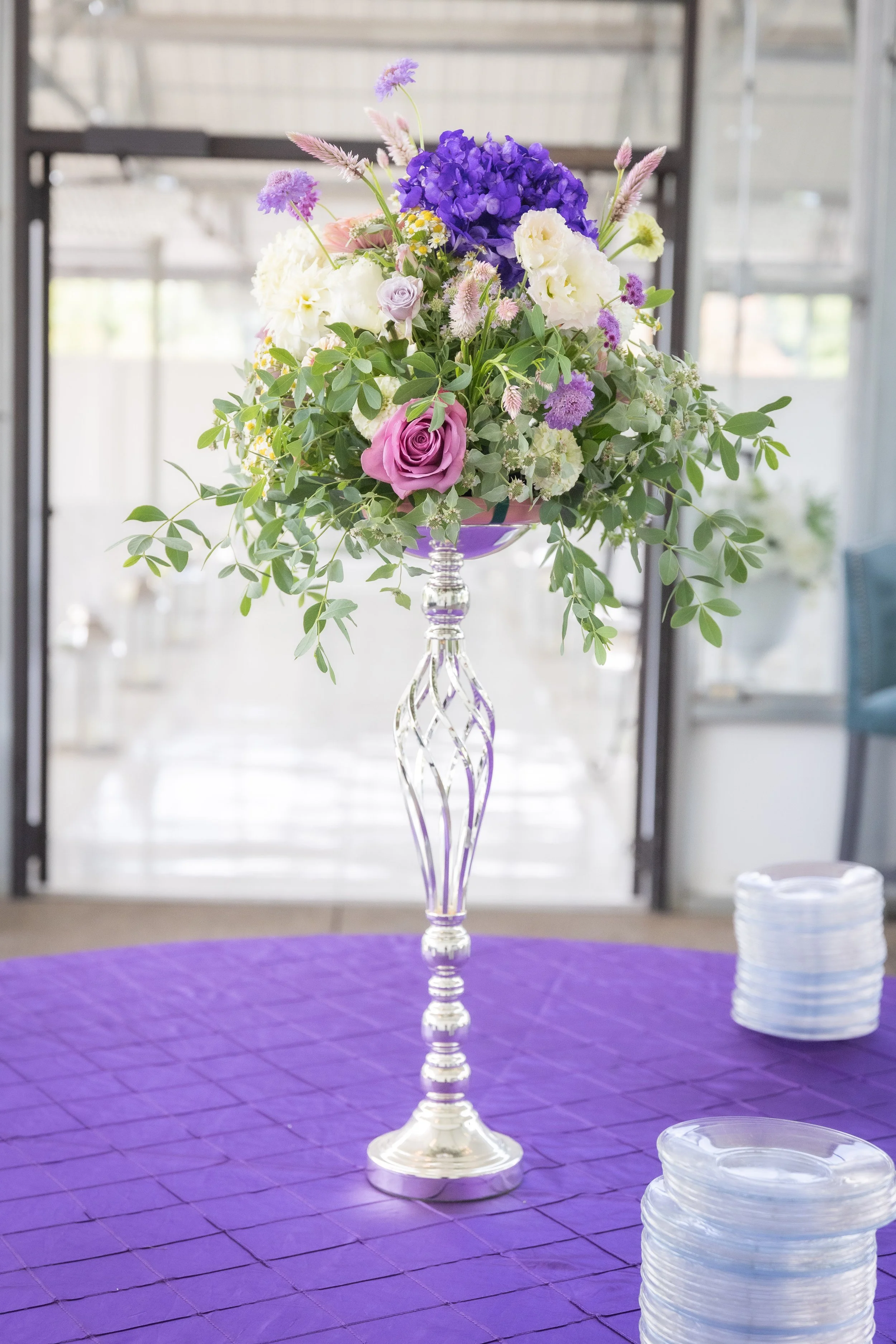 Julie Muir Photography