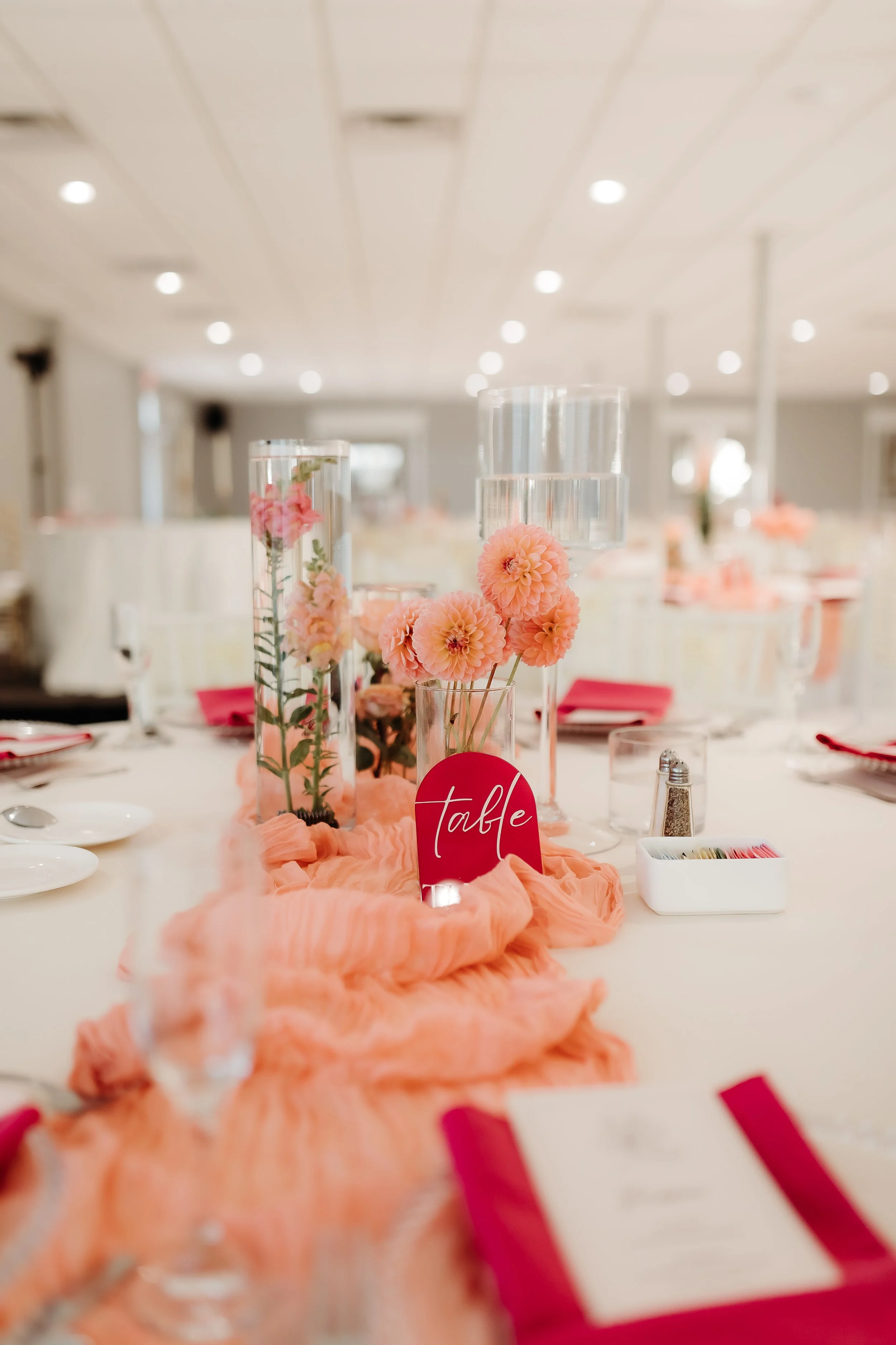 Angela Amen Photography