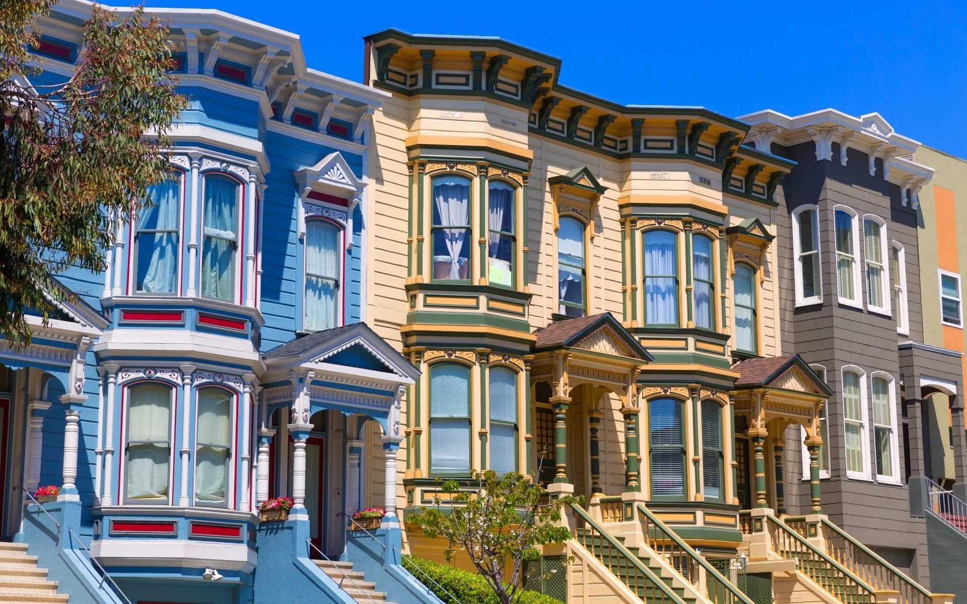 Welcome to Pacific Heights