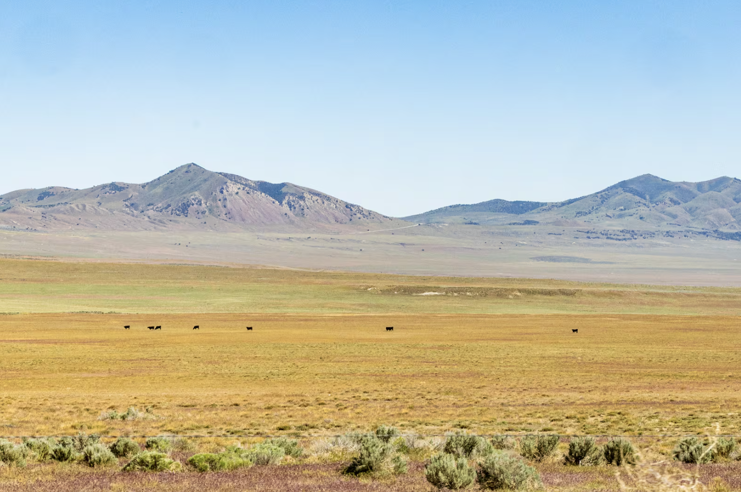 Opinion: Power, water and preemption — the reality of the Stratos data center