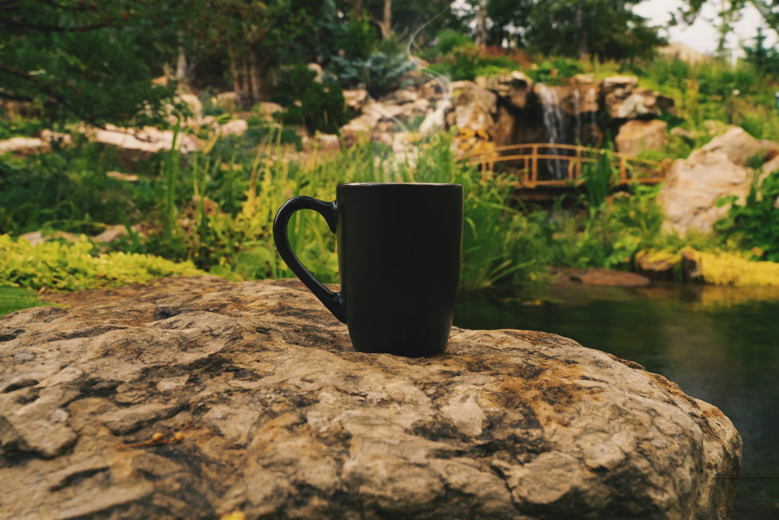 a coffee mug sitting on a rock beside a large pond with a wooden bridge in the background