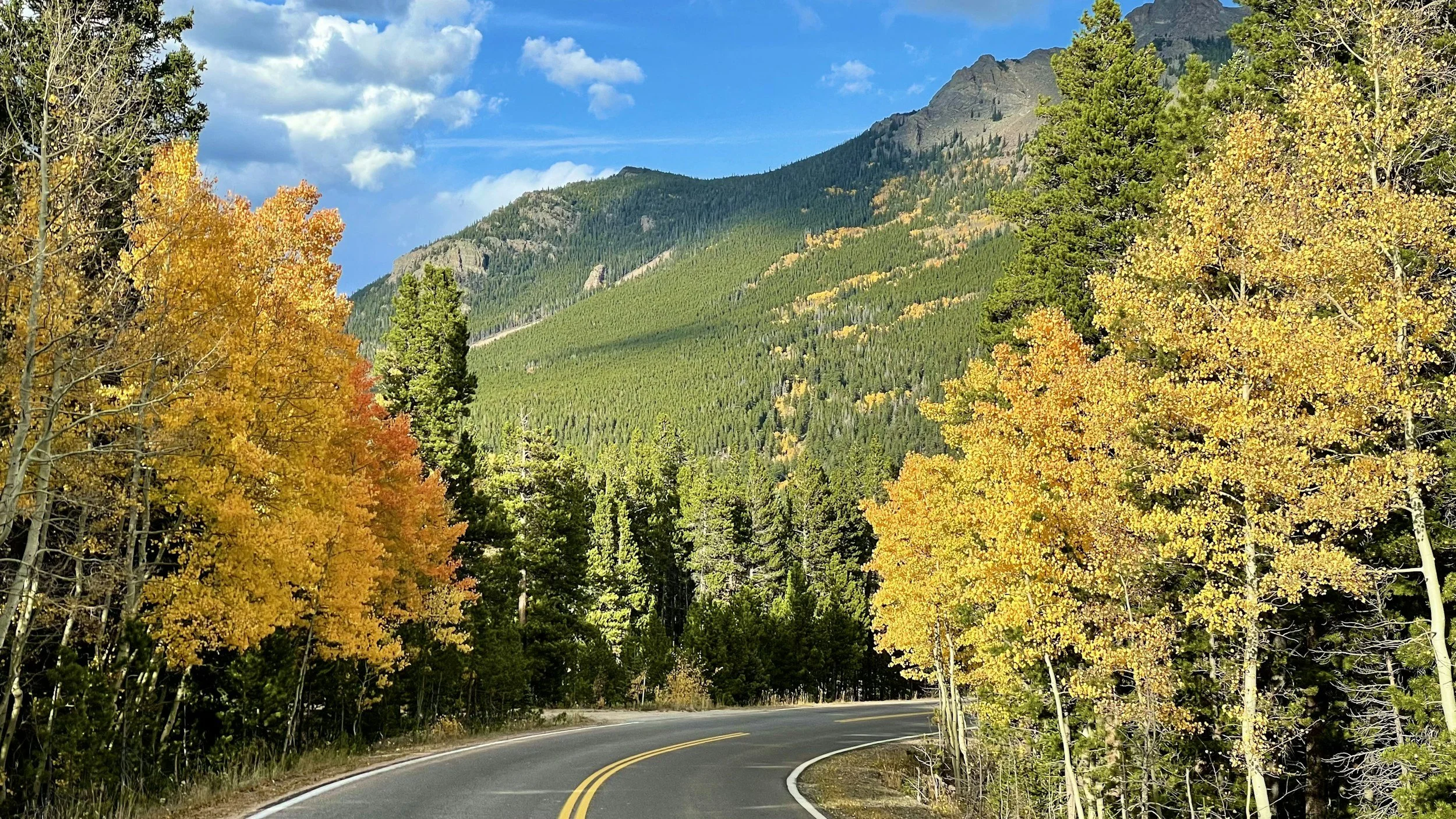 a road winding through a wooded mountain with trees turning color for the fall