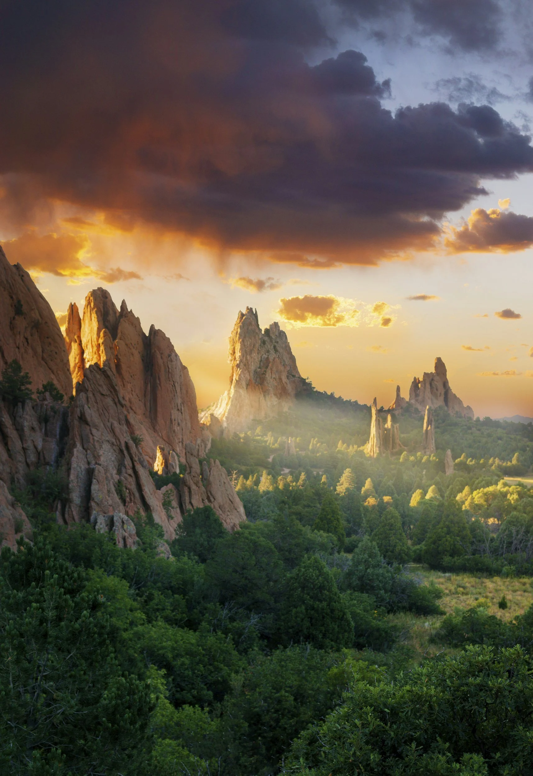 an idyllic landscape view of Garden of the Gods showing light spilling across sunlit treetops