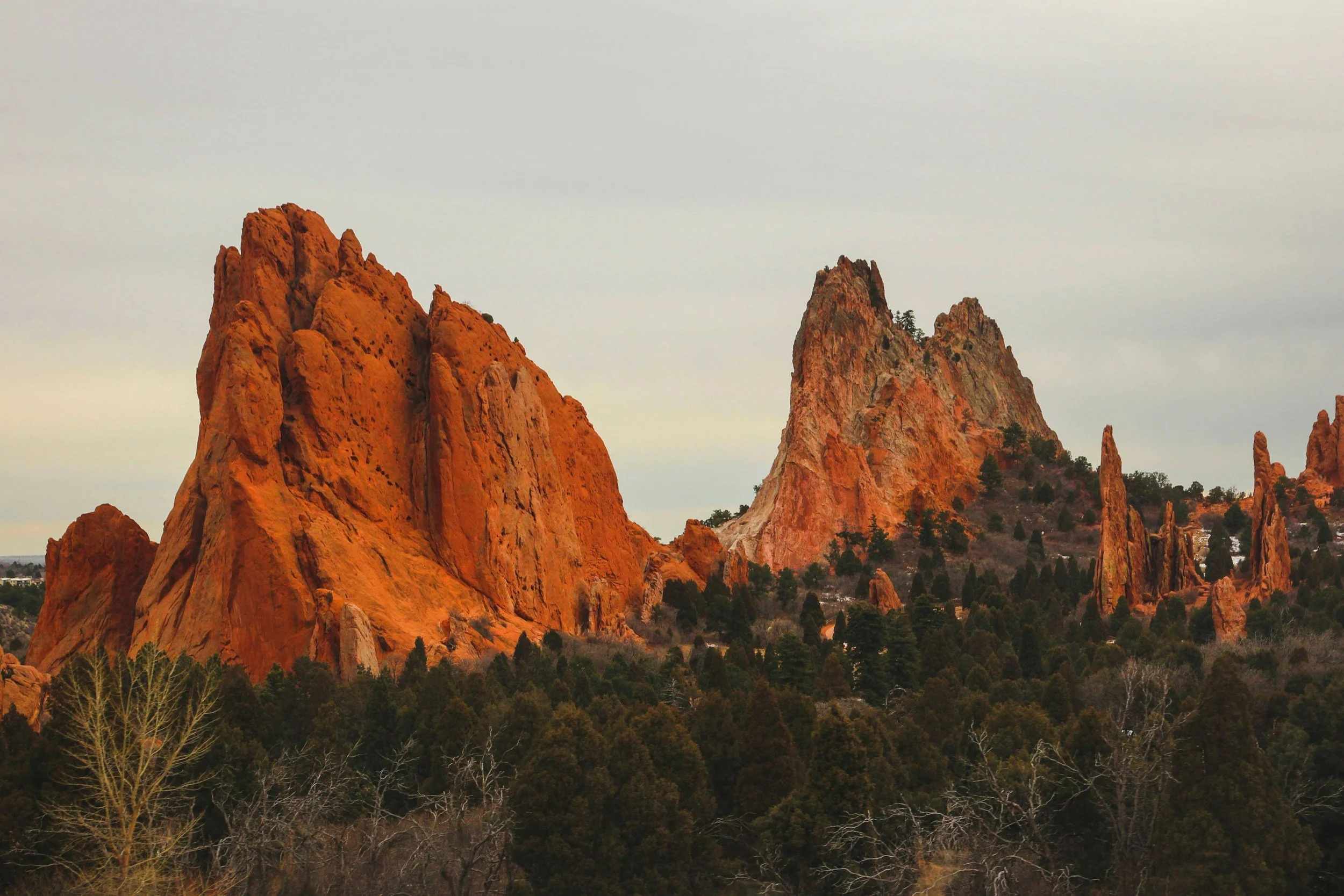 red rocks at garden of the gods