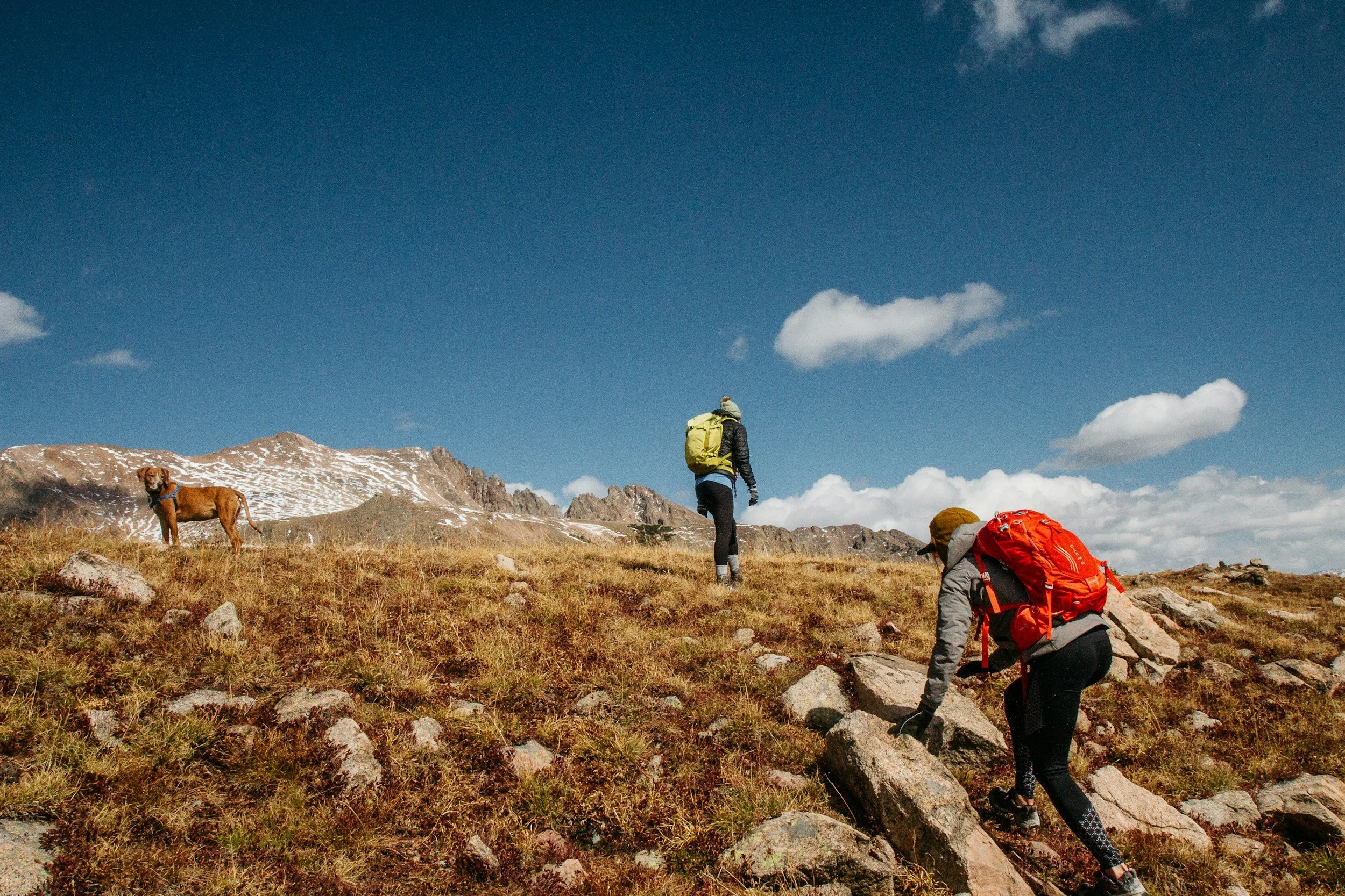 two people hiking up a mountaintop with their dog