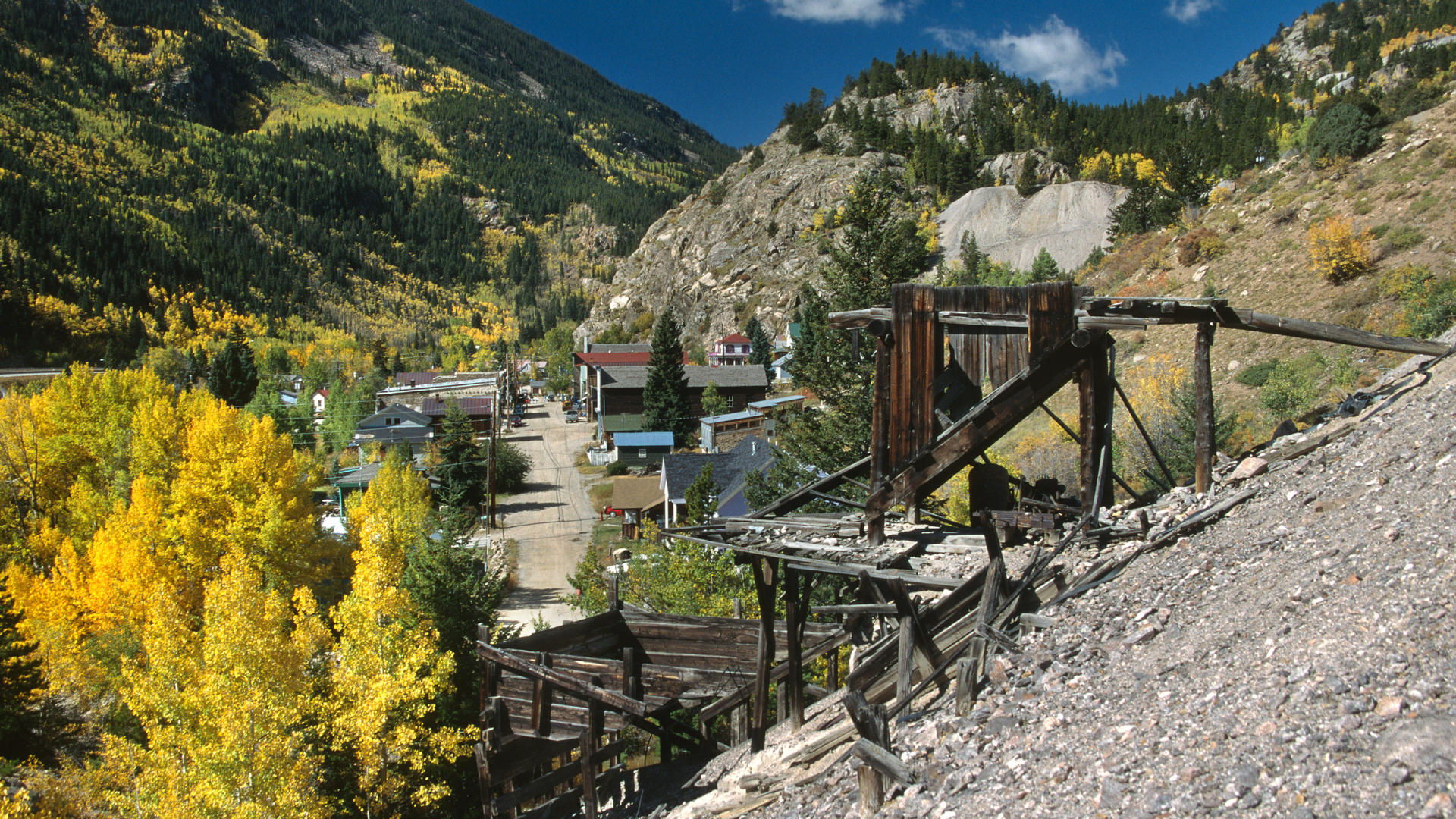 Overlooking main street, a grove of yellow autumn aspen blow in the wind near an abandoned mine in the small town of Silver Plume in Colorado's Rocky Mountains