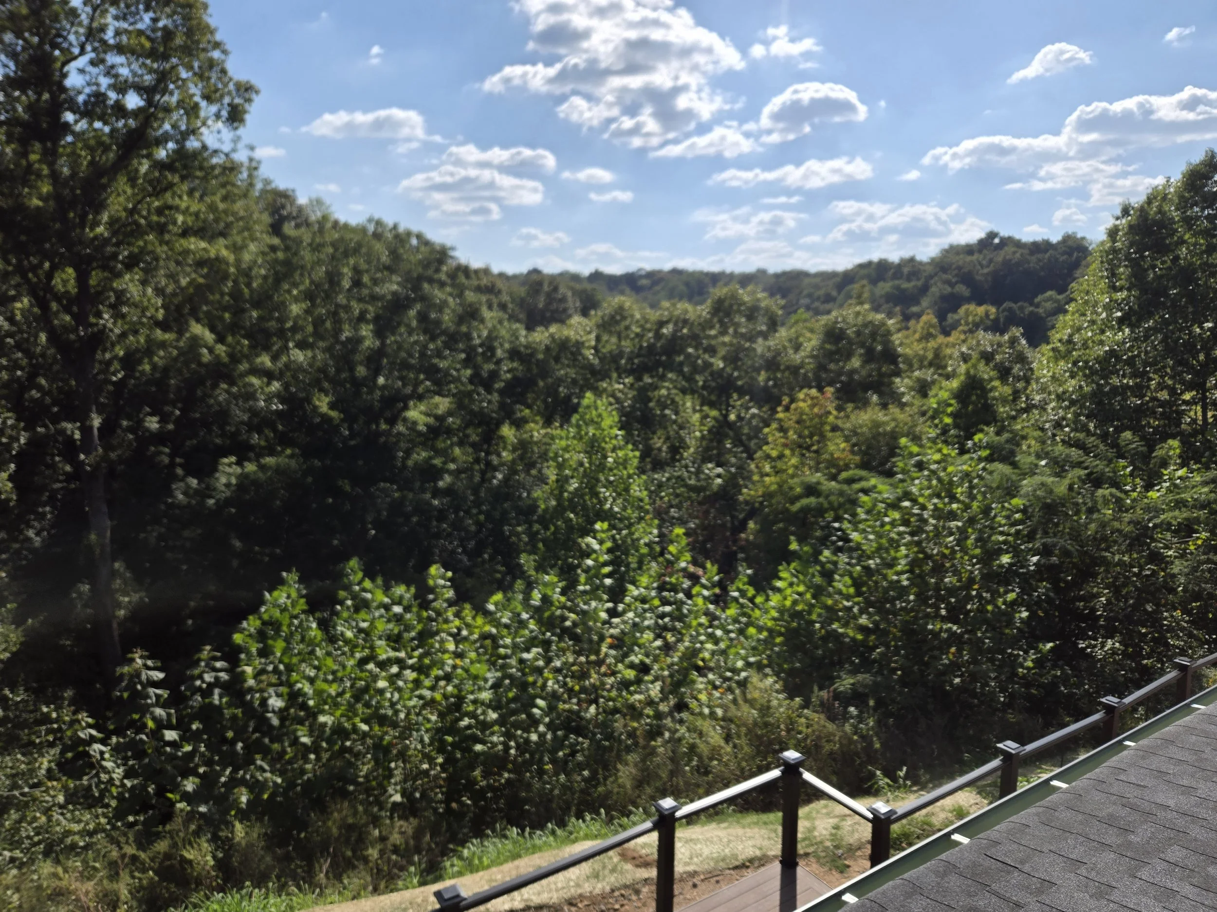 Canyon View - Summer