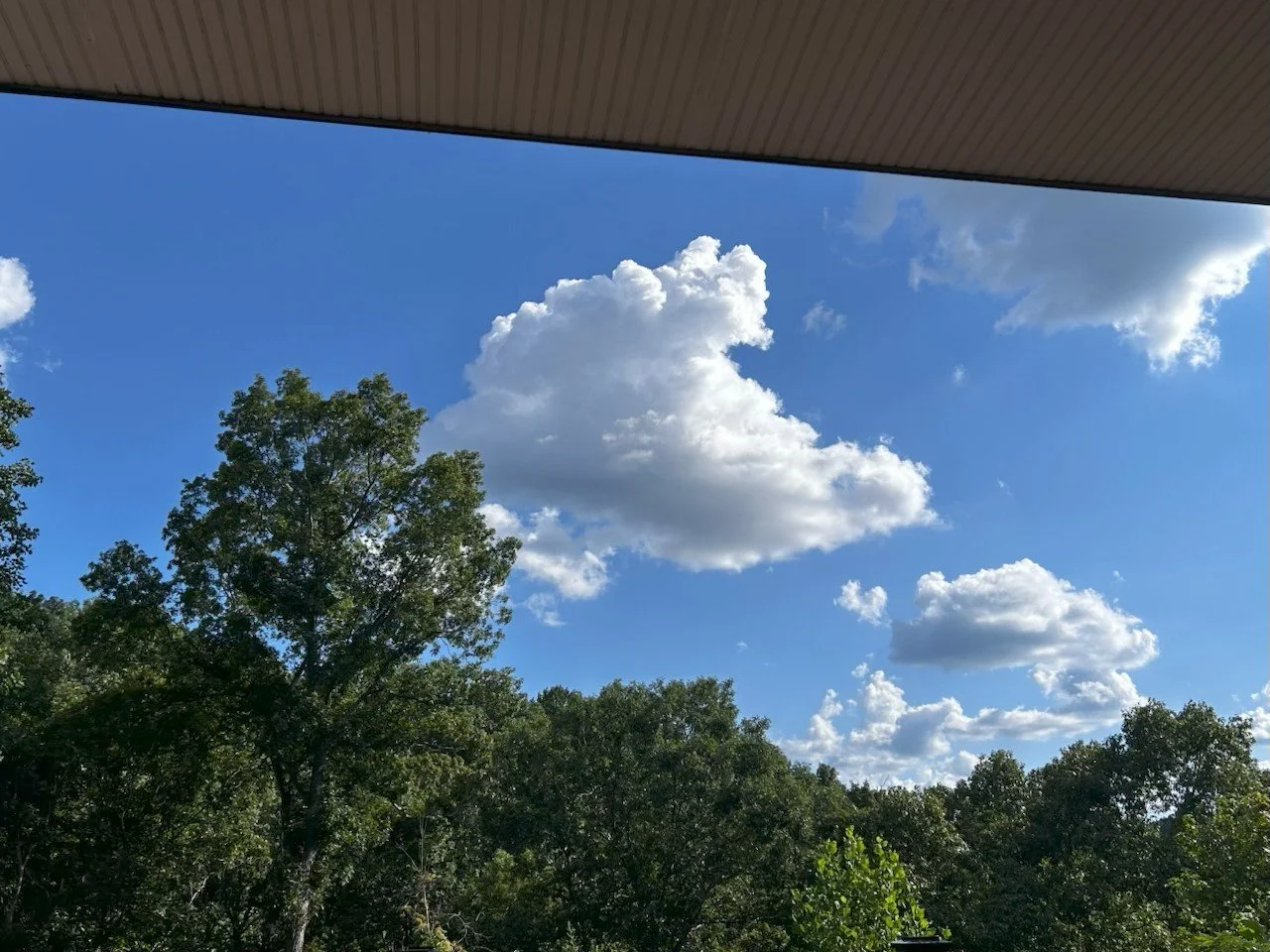 IMG_20251114_064810 (6).jpg