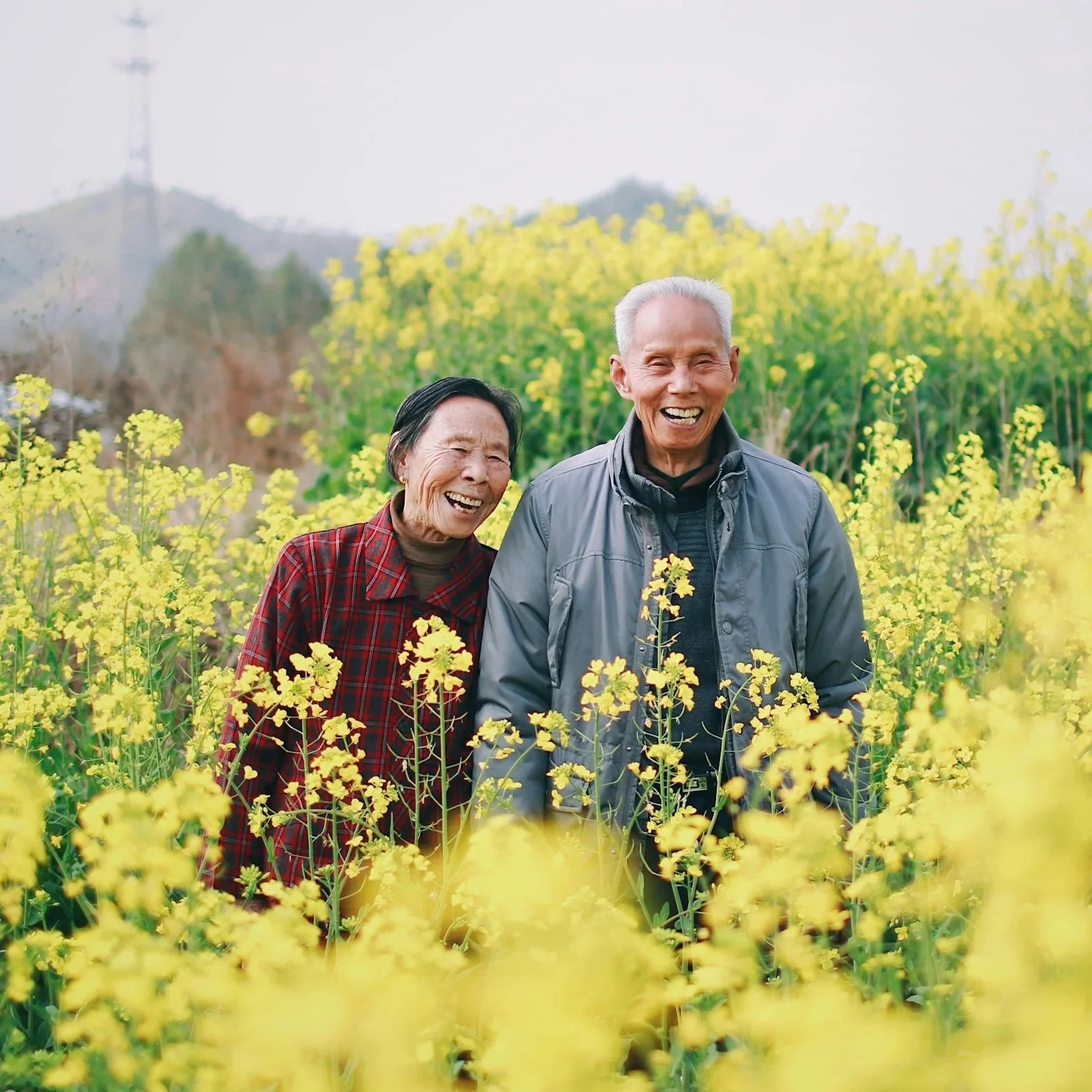 Smiling elderly couple surrounded by yellow flowers representing joy and emotional well-being – compassionate mental health support for older adults at CogDiversified.