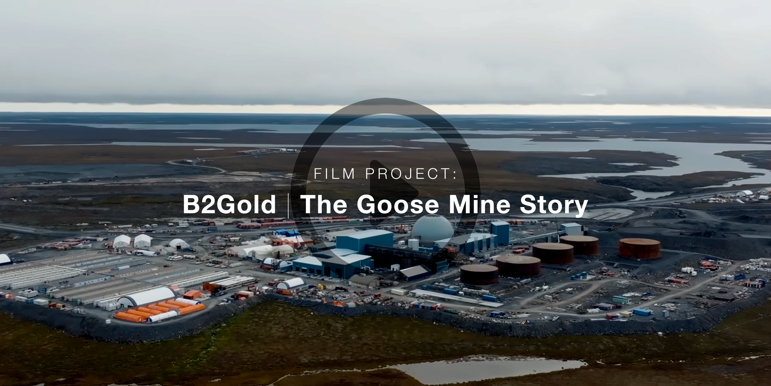 gooseb2.png