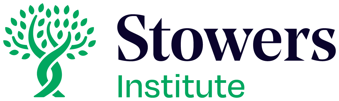 Logo for Stowers Institute featuring a stylized green tree with twisting trunk and numerous leaves, with the text 'Stowers Institute' to the right.