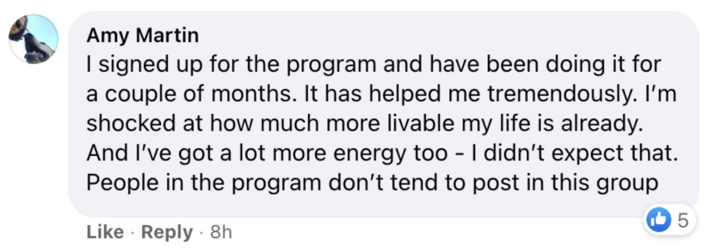 Facebook comment by Amy Martin expressing positive feedback about a program, mentioning increased energy and livability after a few months. Received 5 likes.