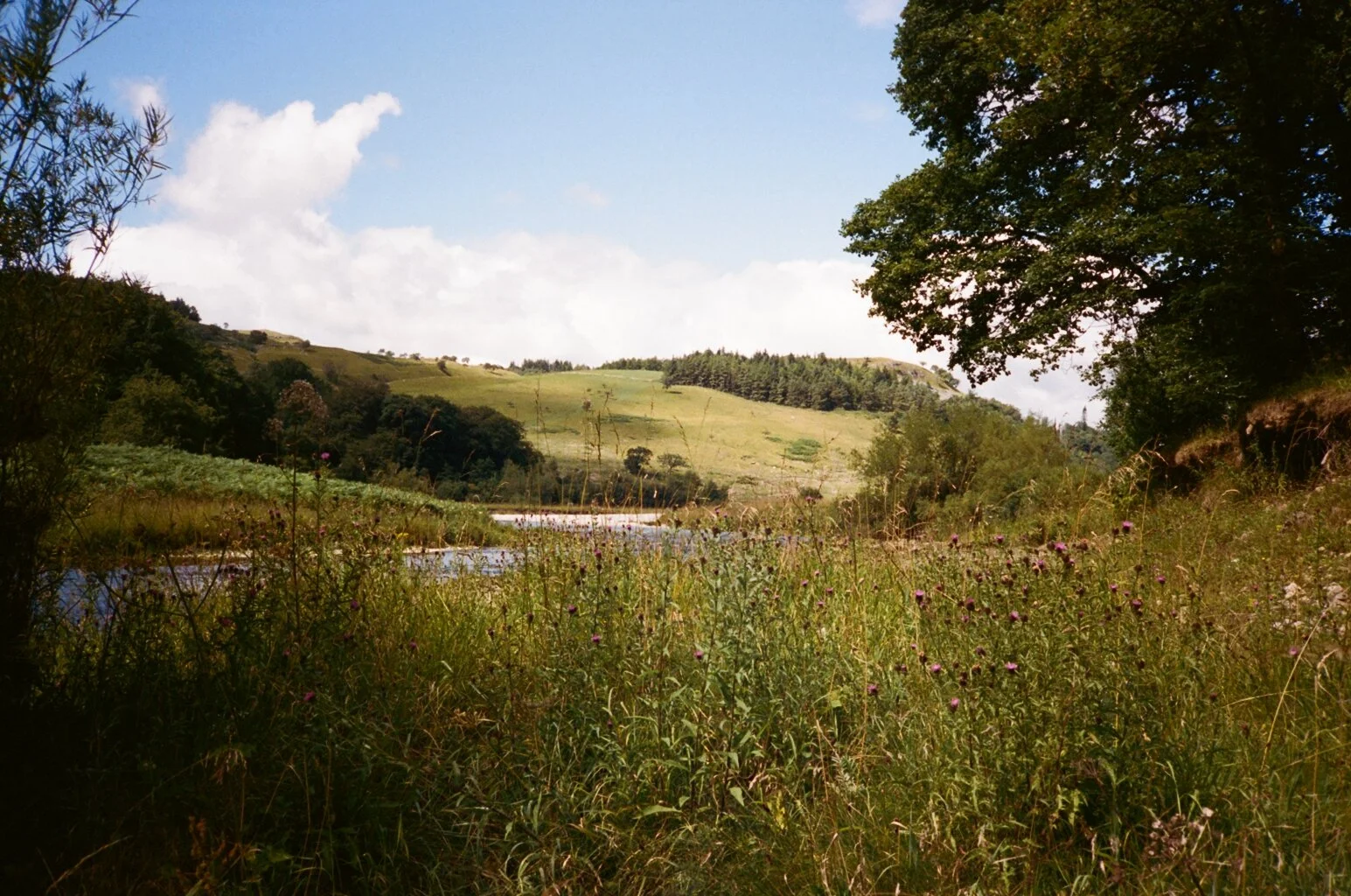 image00044.jpeg
