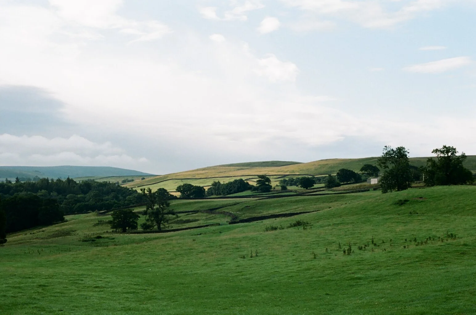 image00016.jpeg