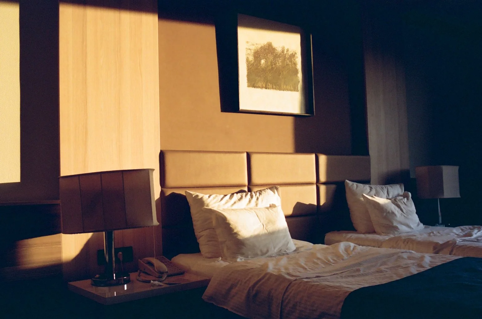 image00026.jpeg