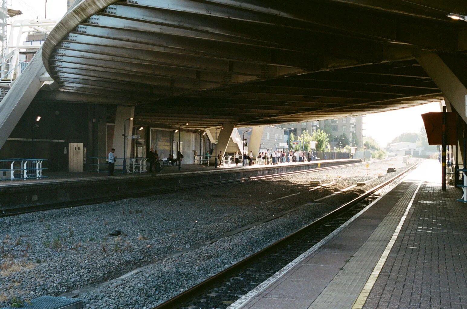 image00008.jpeg
